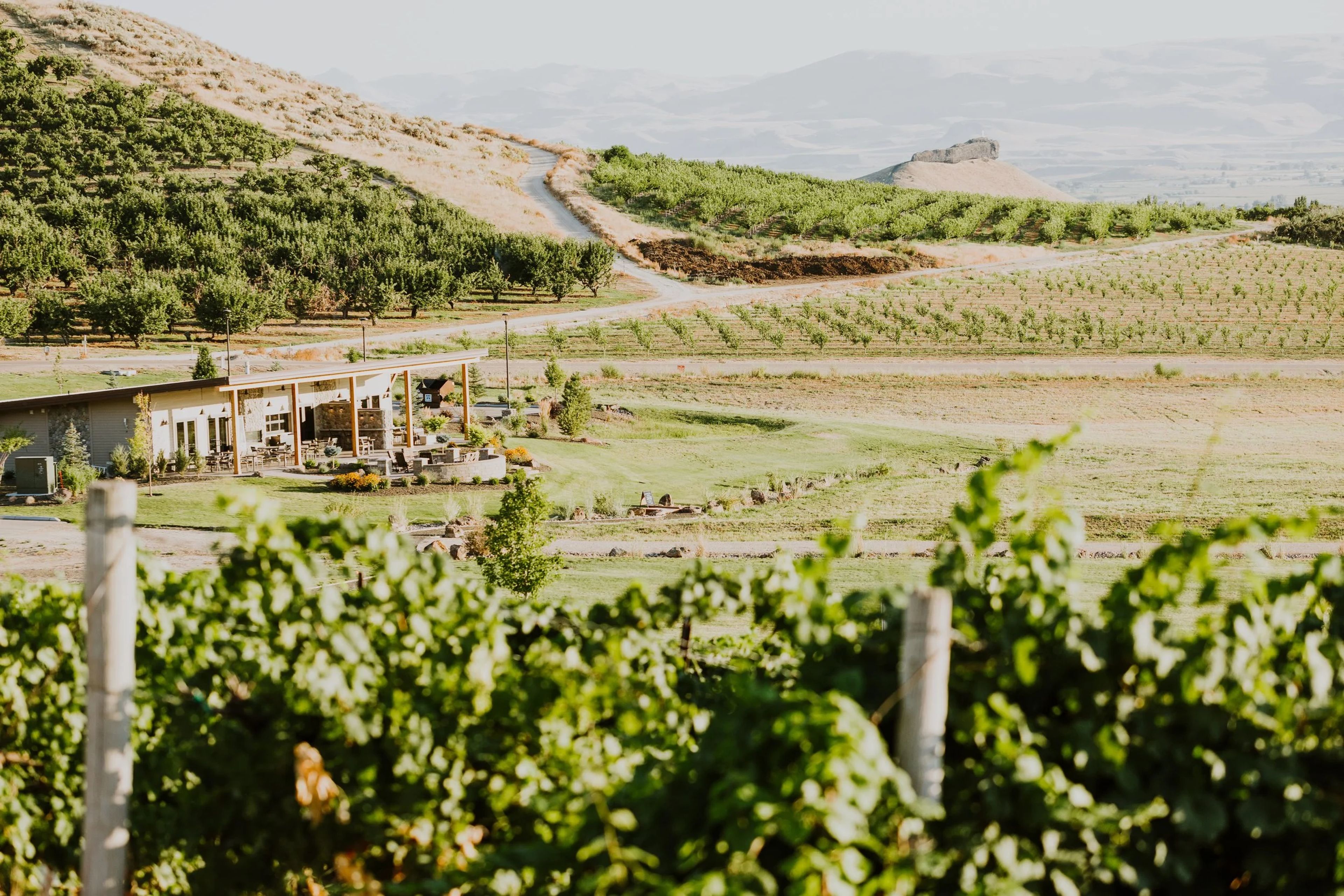 Featured photo from Sawtooth Winery