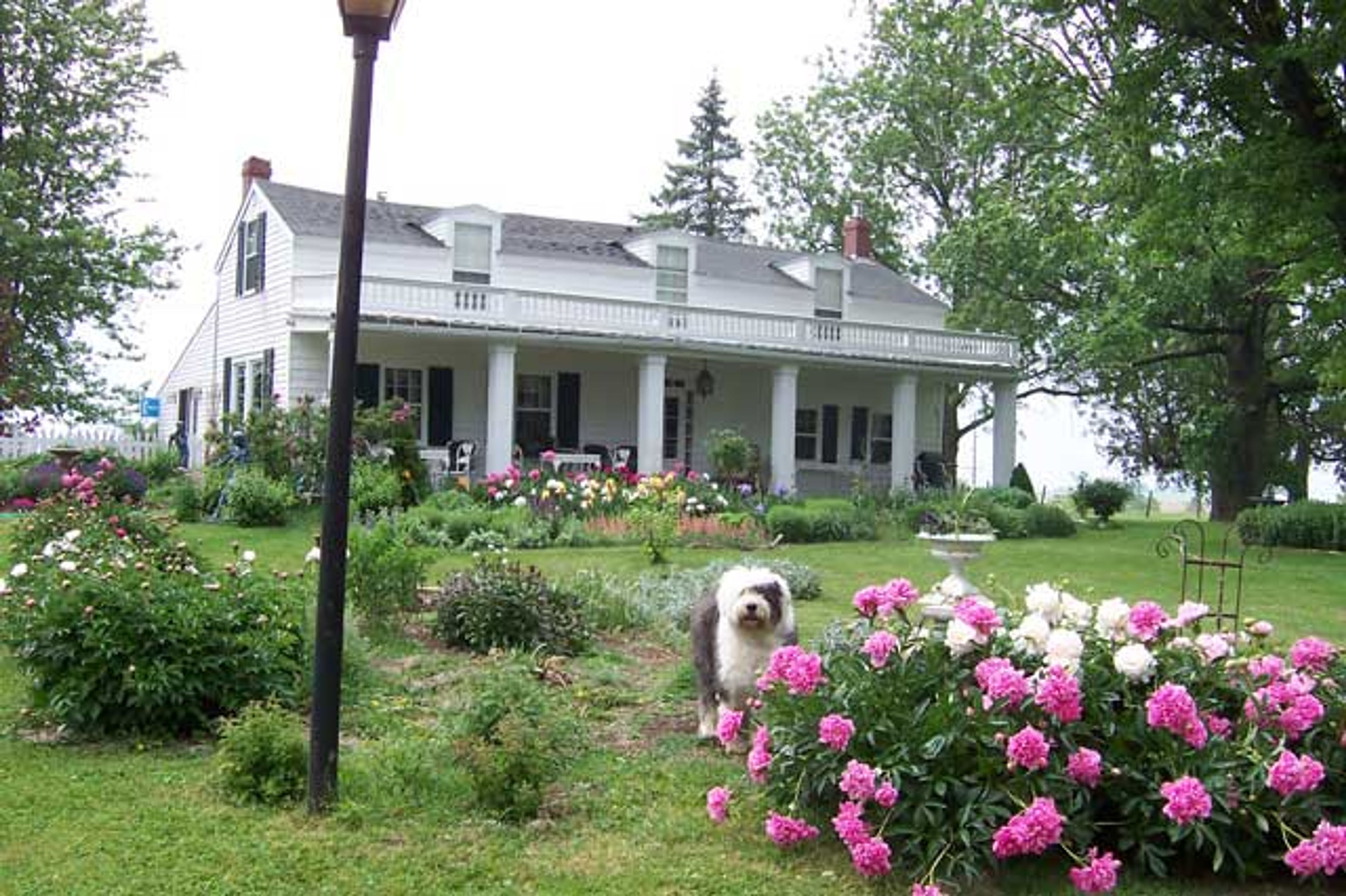 Featured photo from Galena Log Cabin Guest Houses