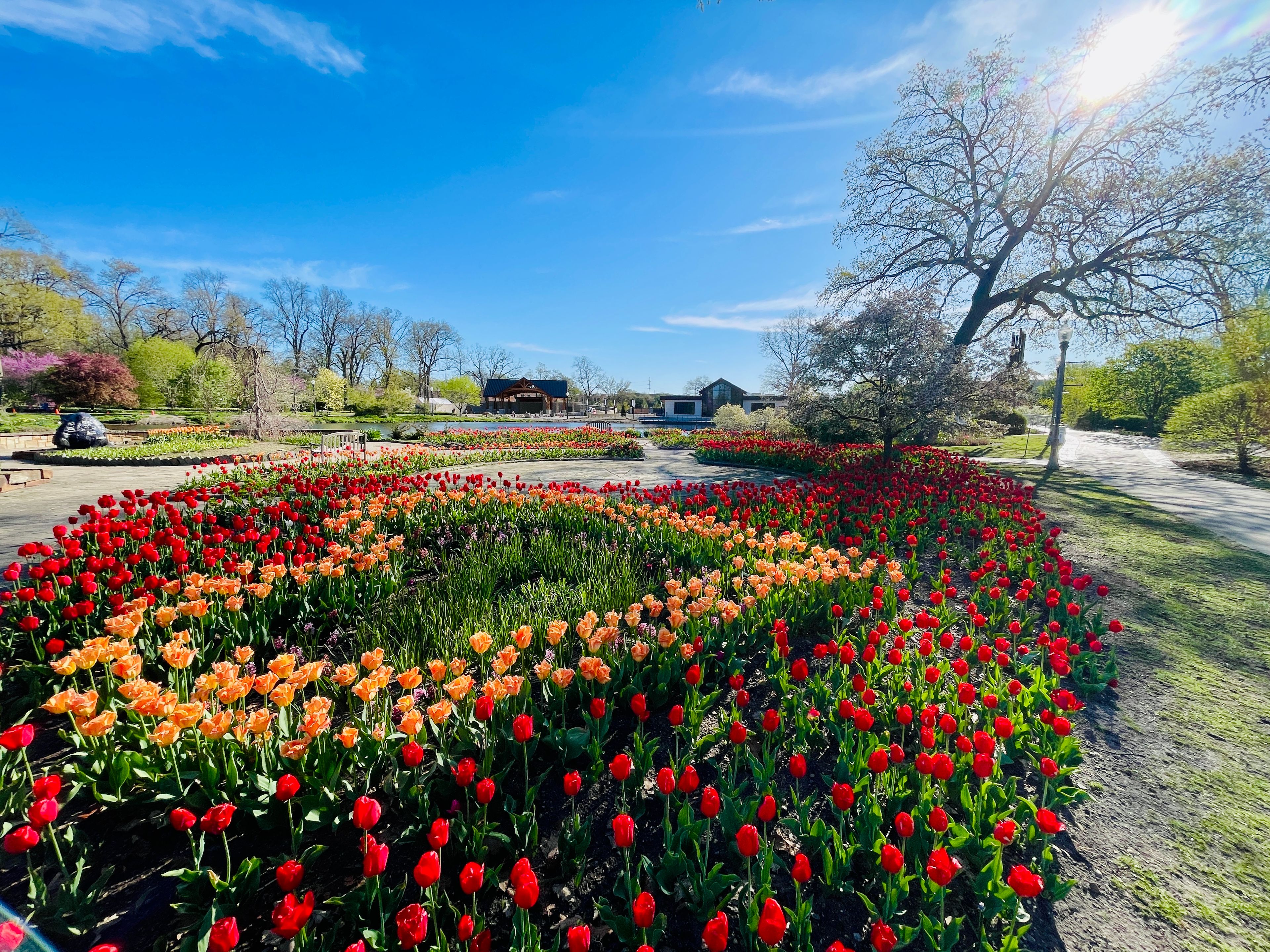 Featured photo from Wellfield Botanic Gardens