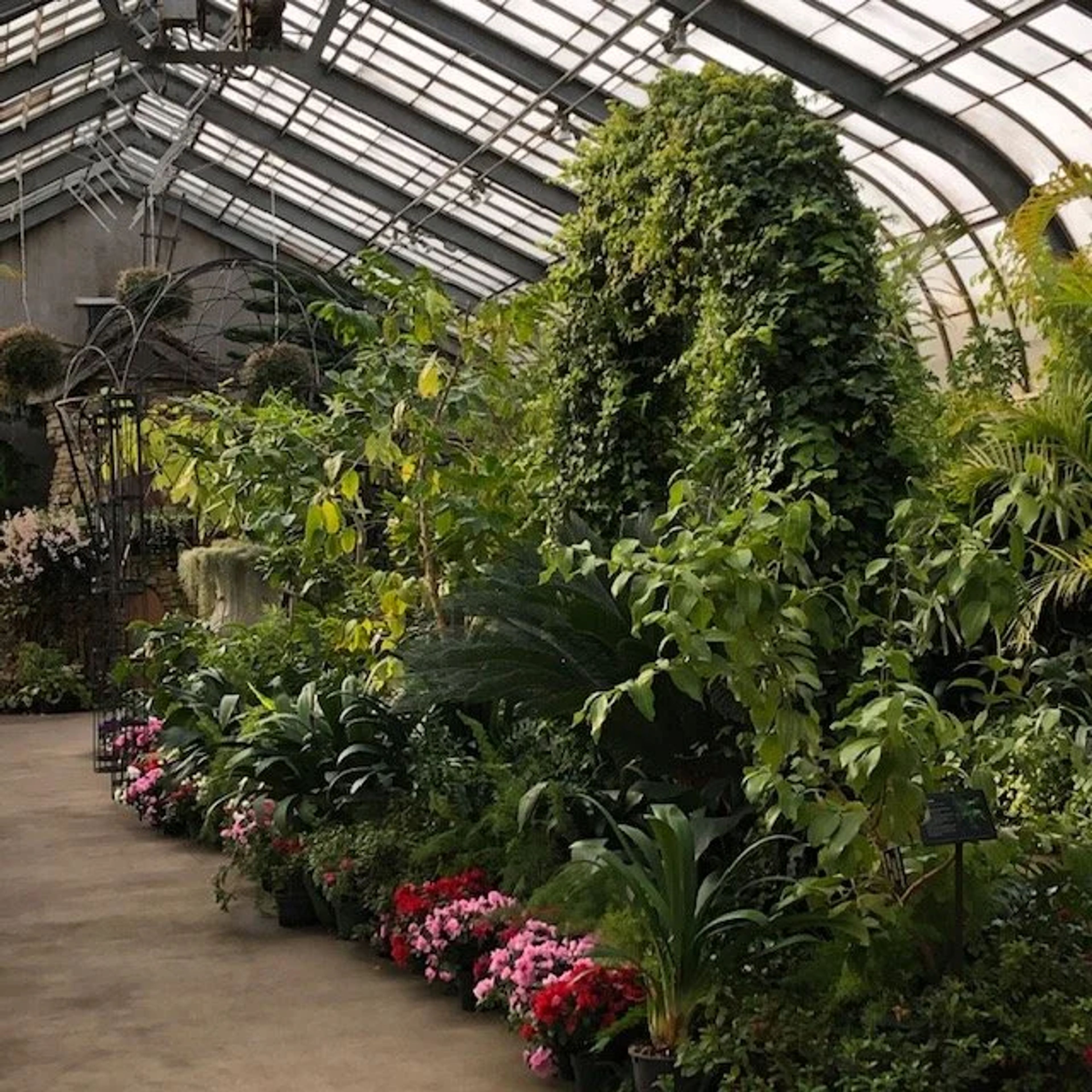 Featured photo from Vander Veer Park