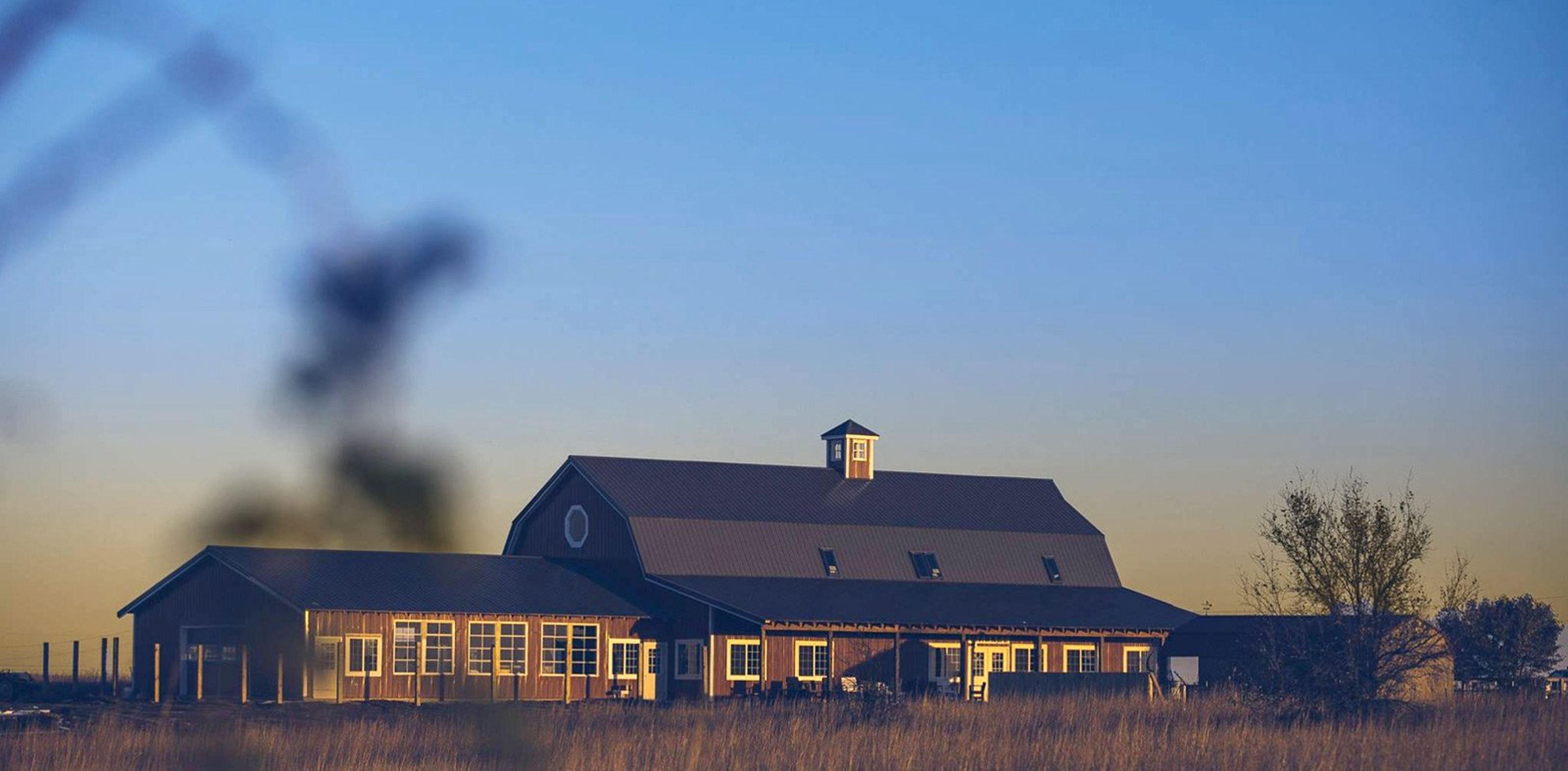 Featured photo from Cardinal Creek Farm