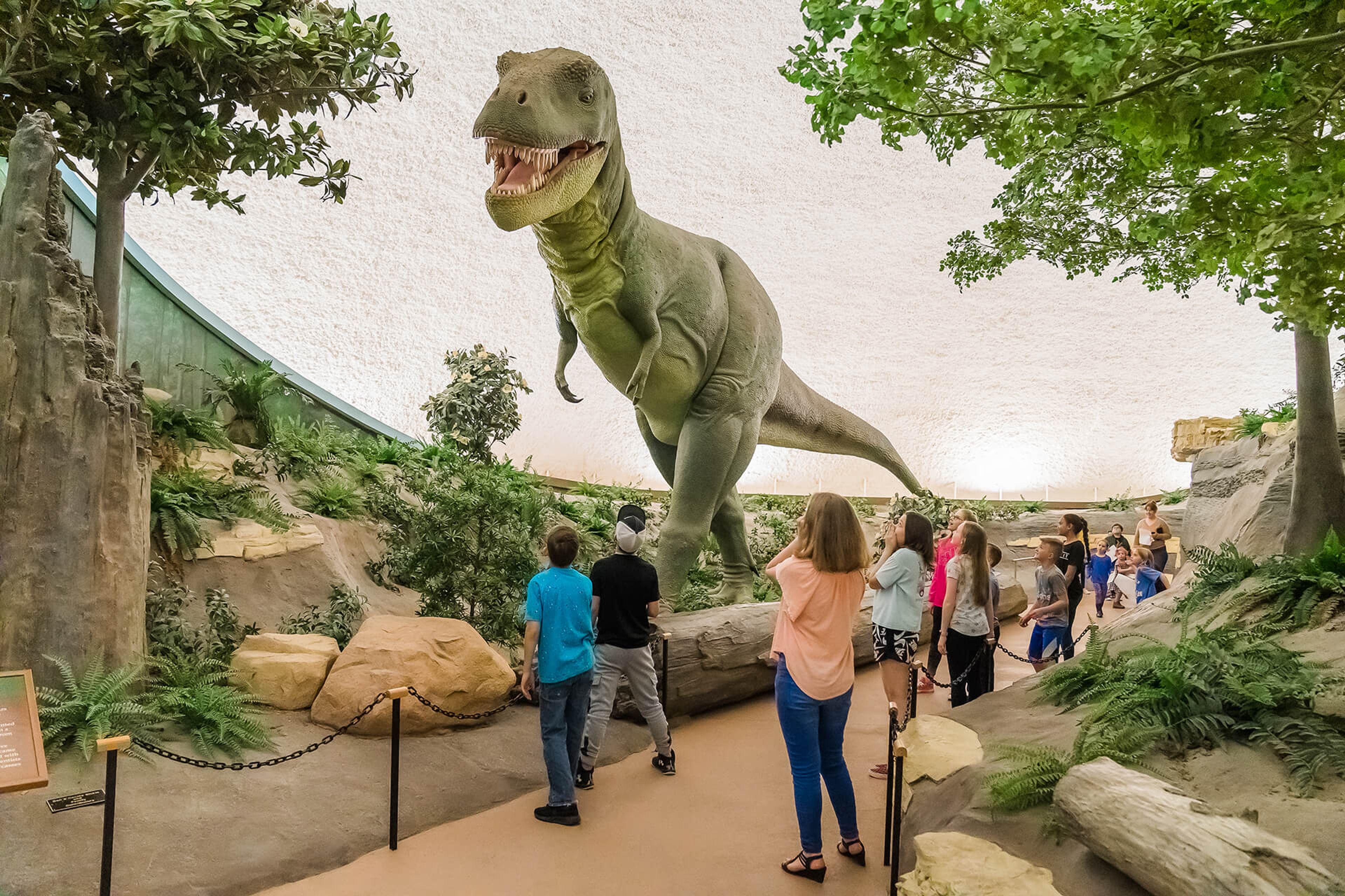 Featured photo from Sternberg Museum Of Natural History