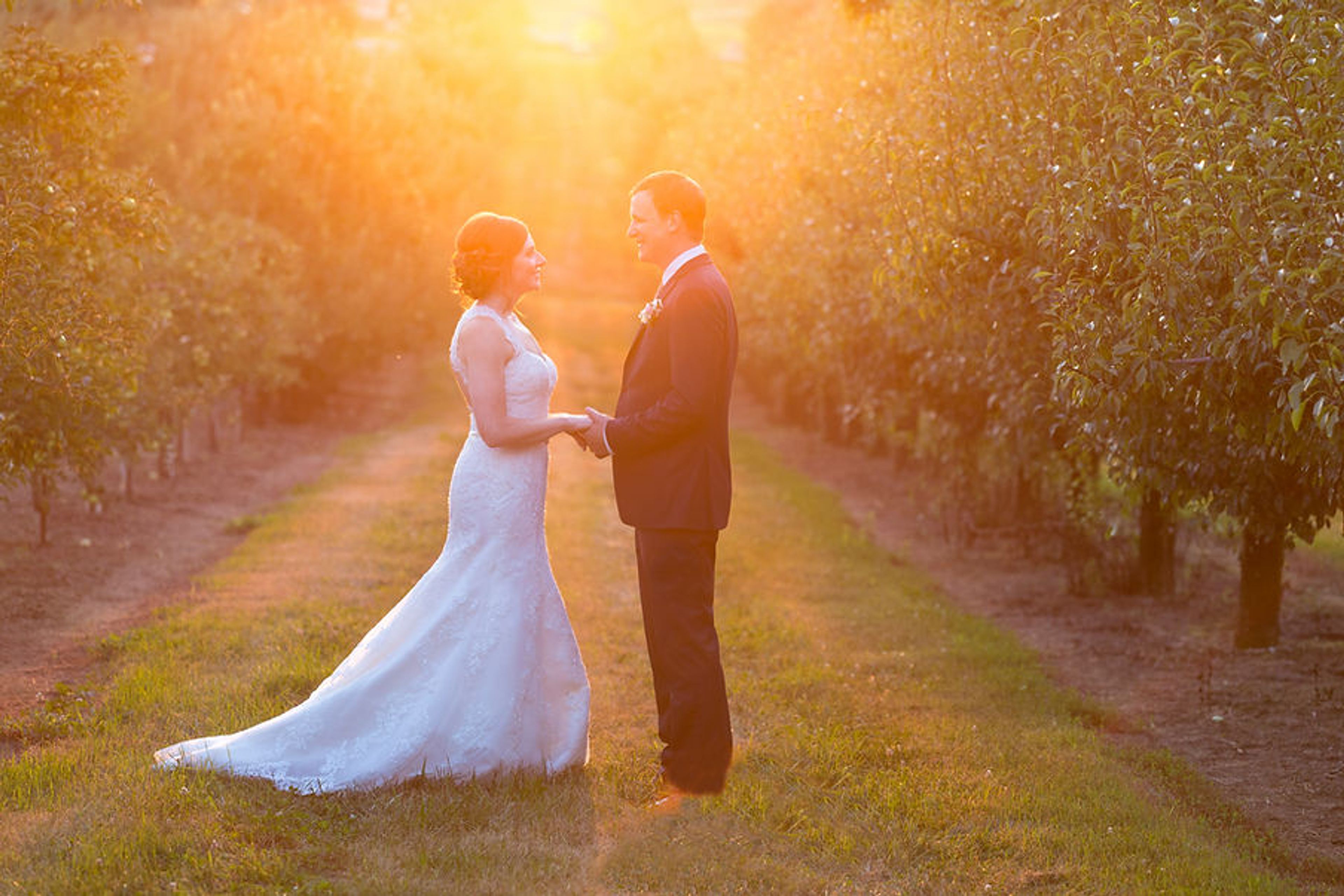 Featured photo from The Event Barn At Evans Orchard