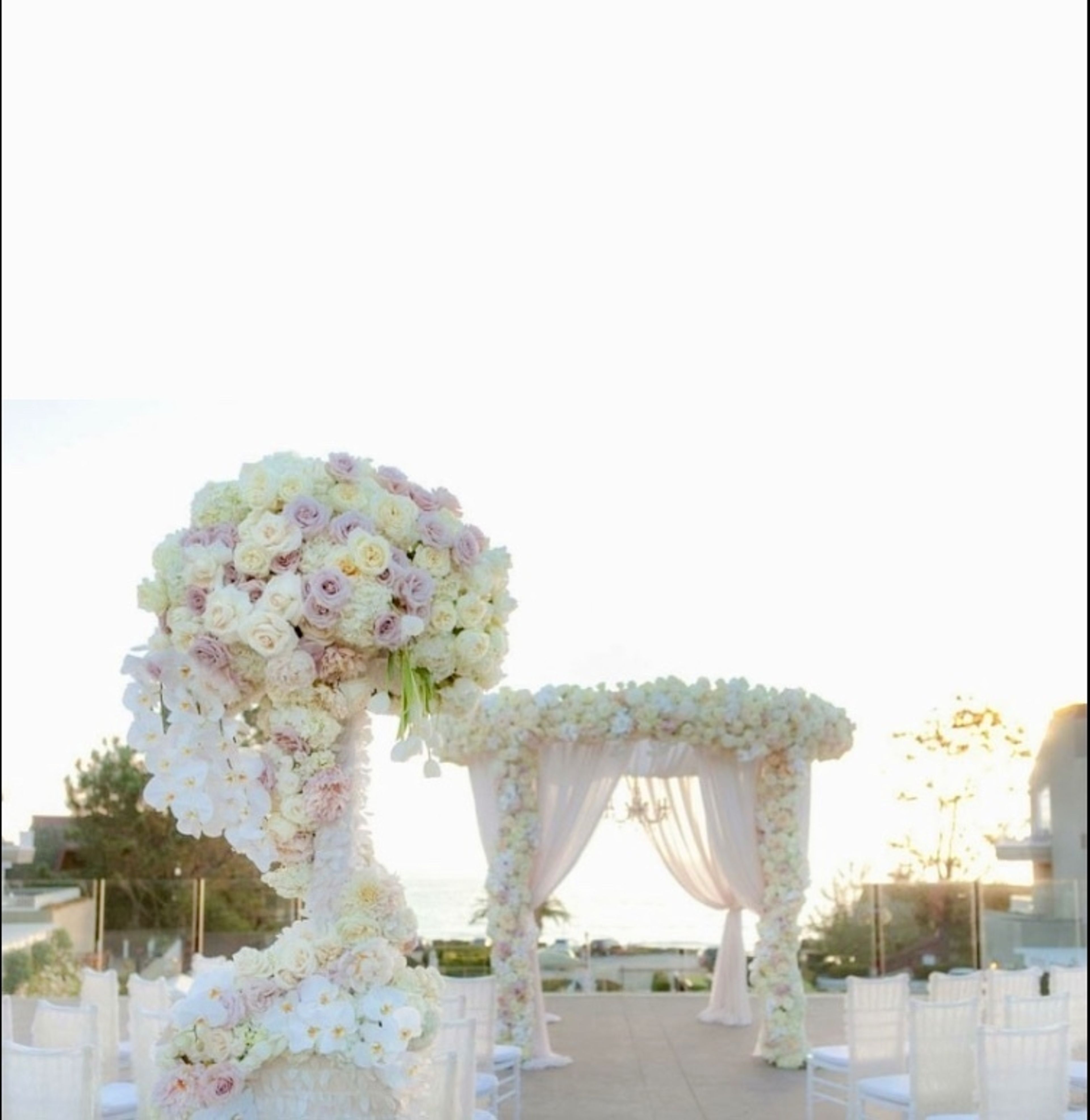 Cover photo of The Knot Wedding