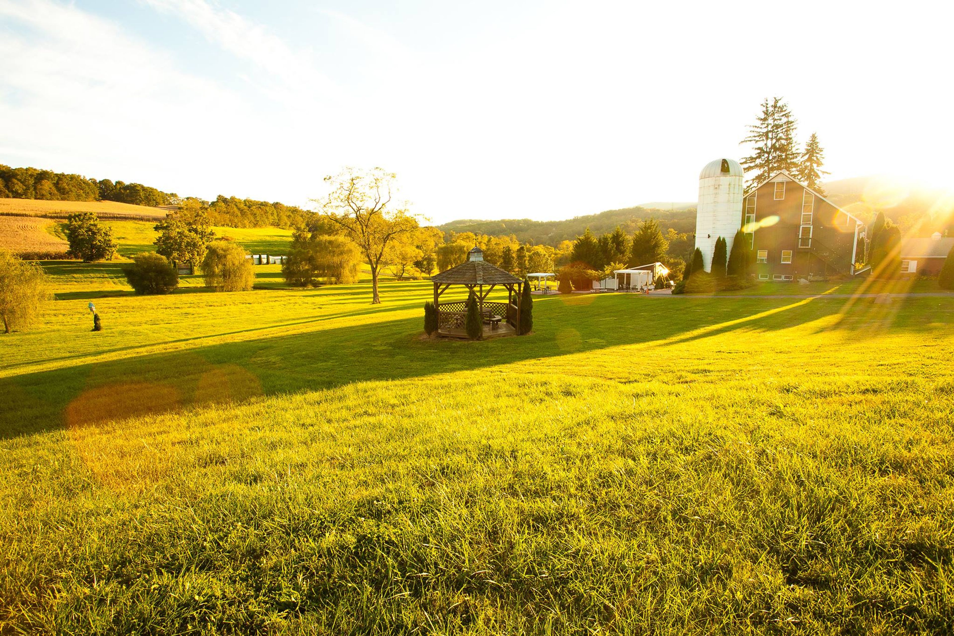 Cover photo of Ostertag Vistas