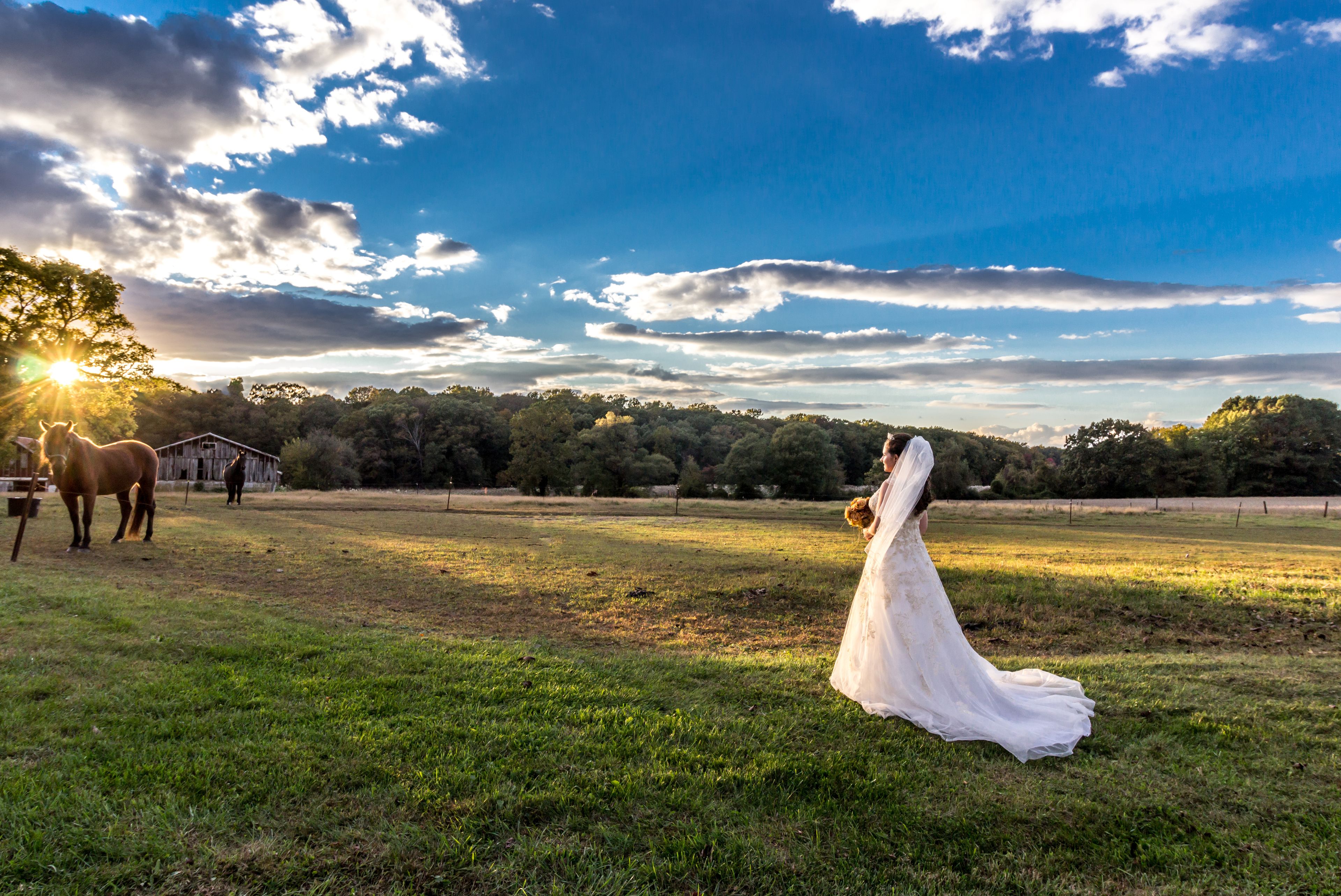 Featured photo from Stepne Manor