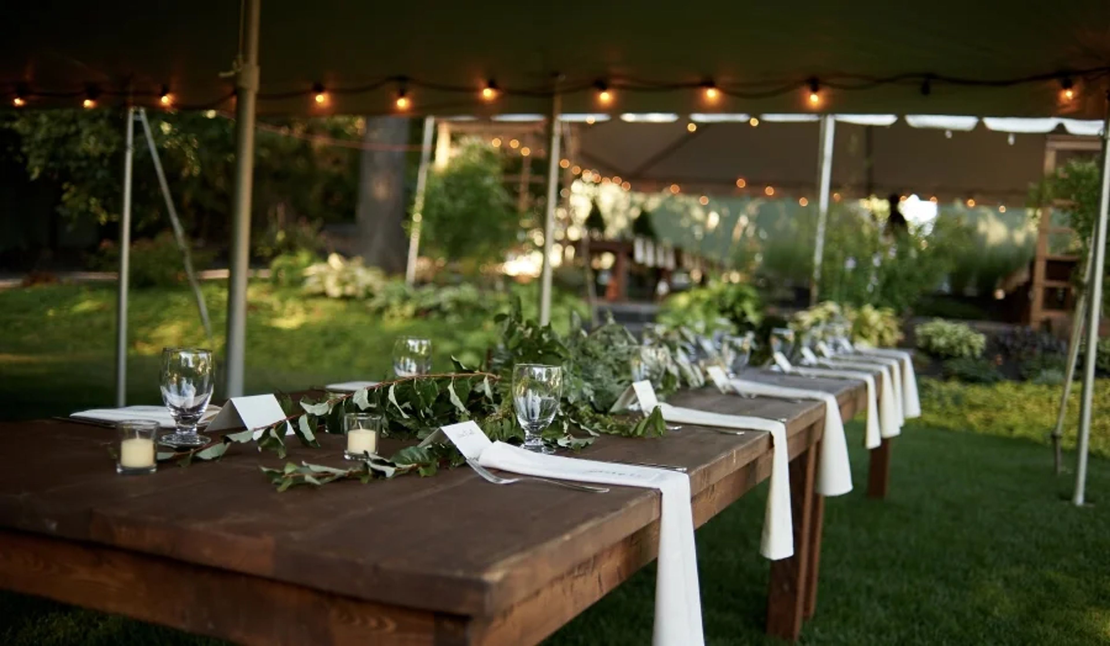 Featured photo from The Herb Lyceum