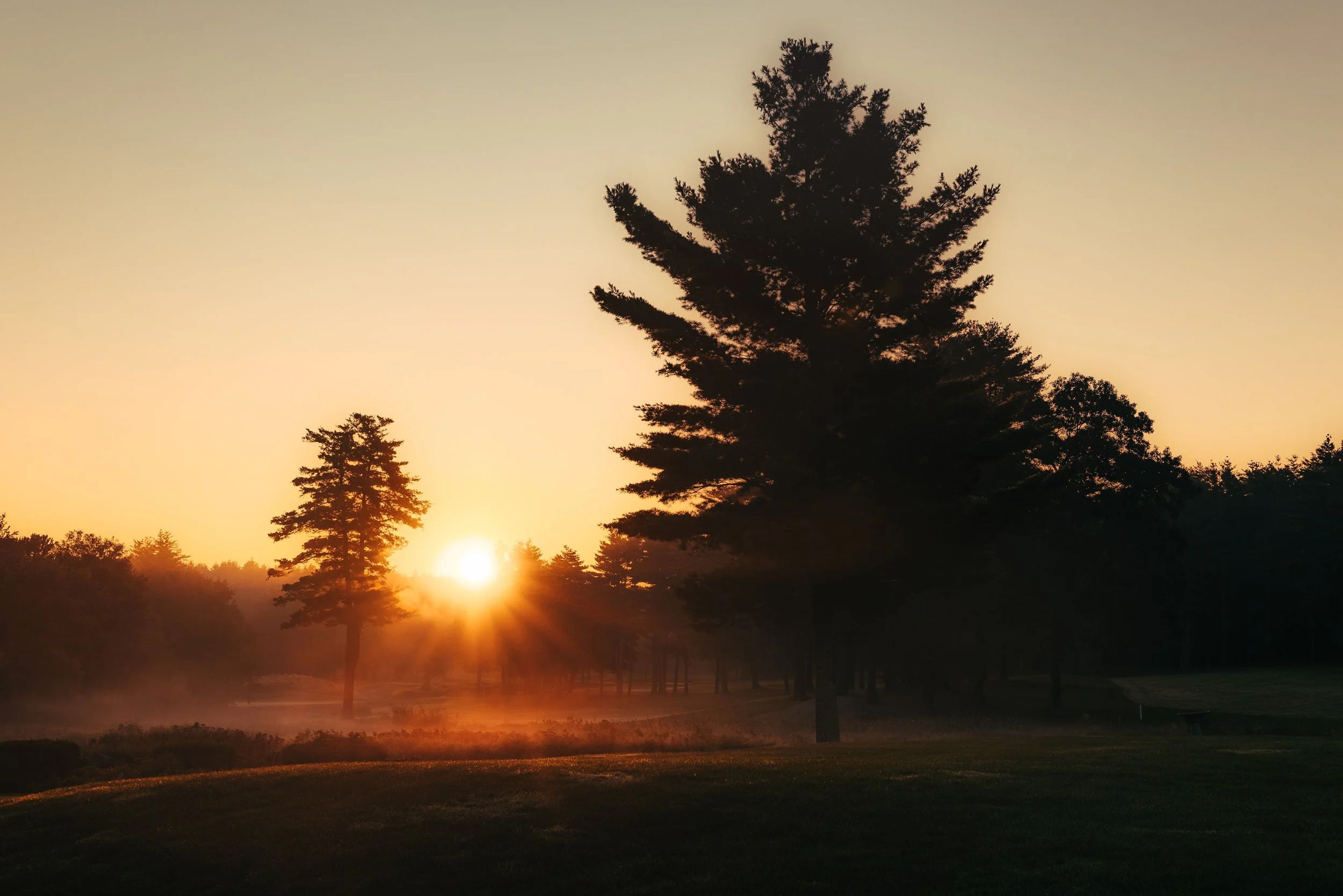 Featured photo from Wedgewood Pines Country Club