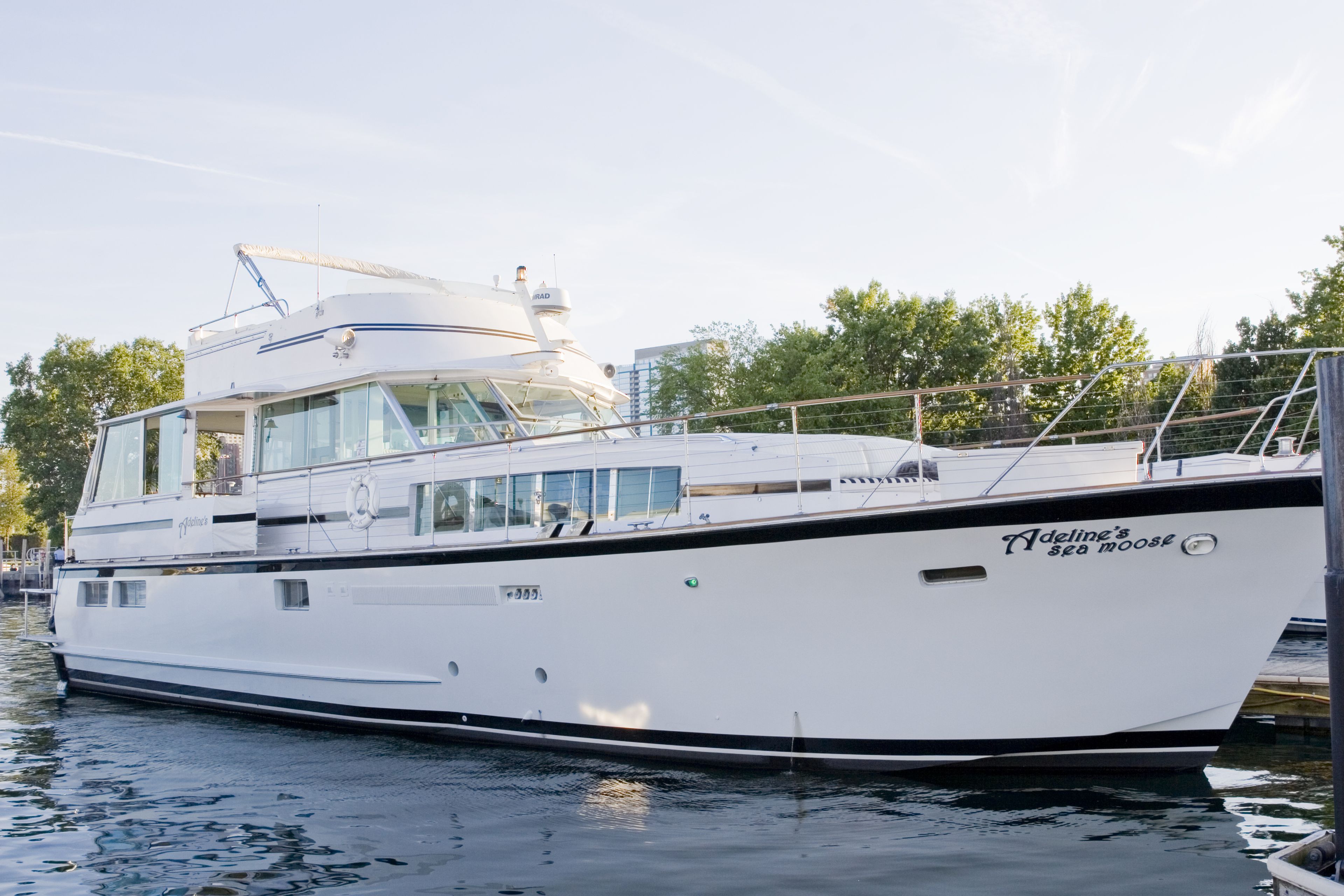 Cover photo of Adeline's Sea Moose