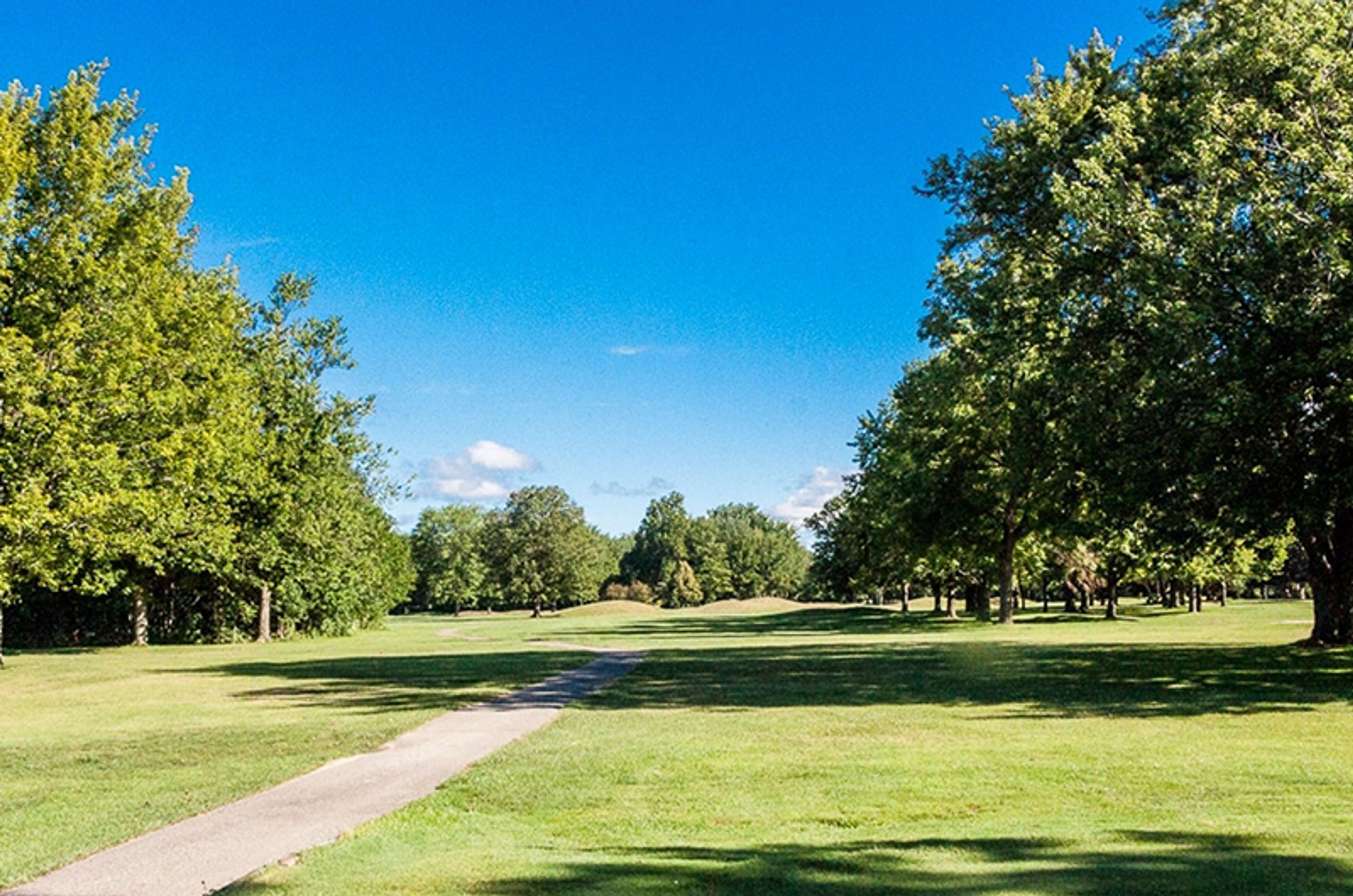 Cover photo of Burning Tree Golf & Country Club