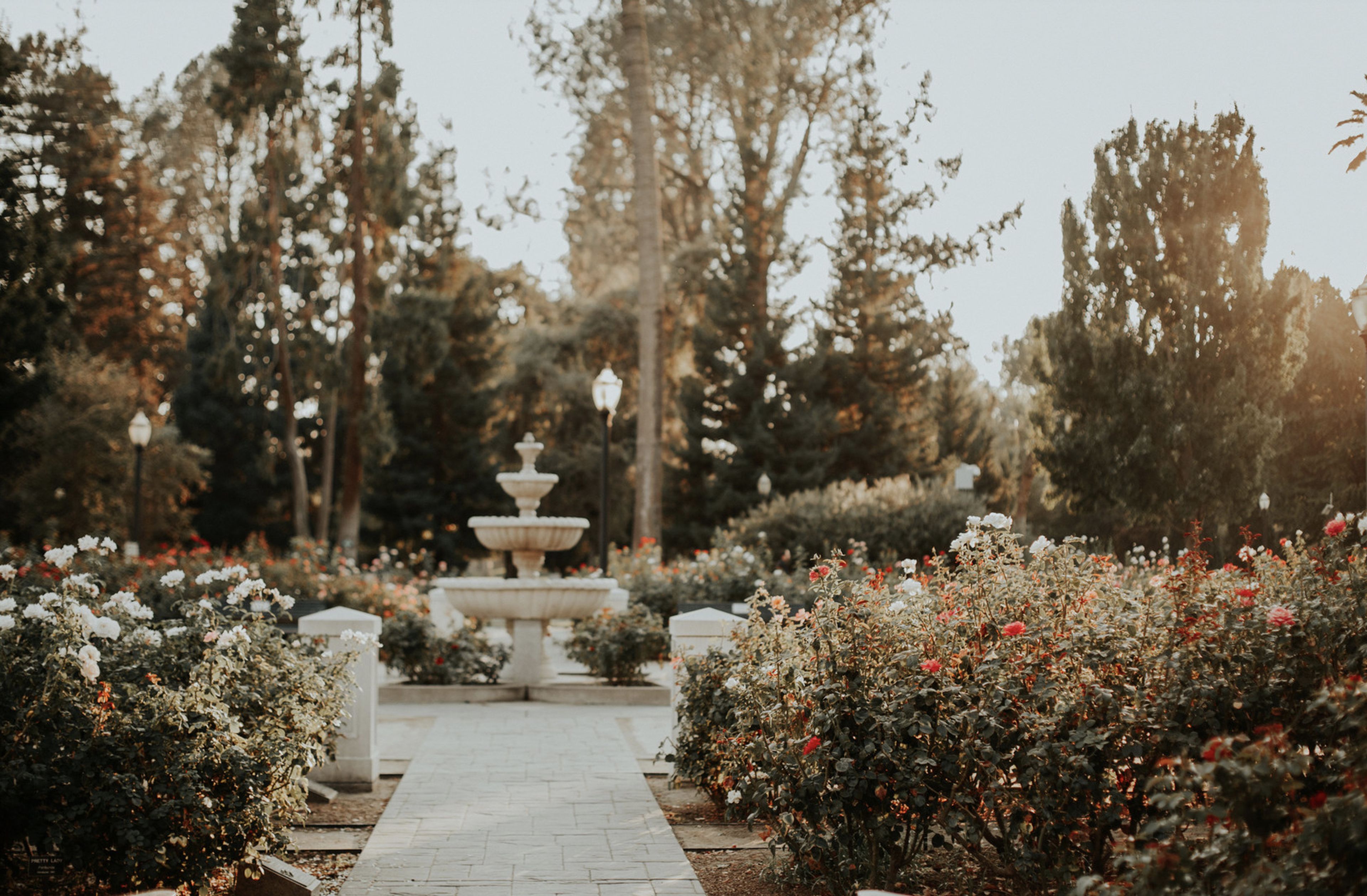 Cover photo of Poema Collective