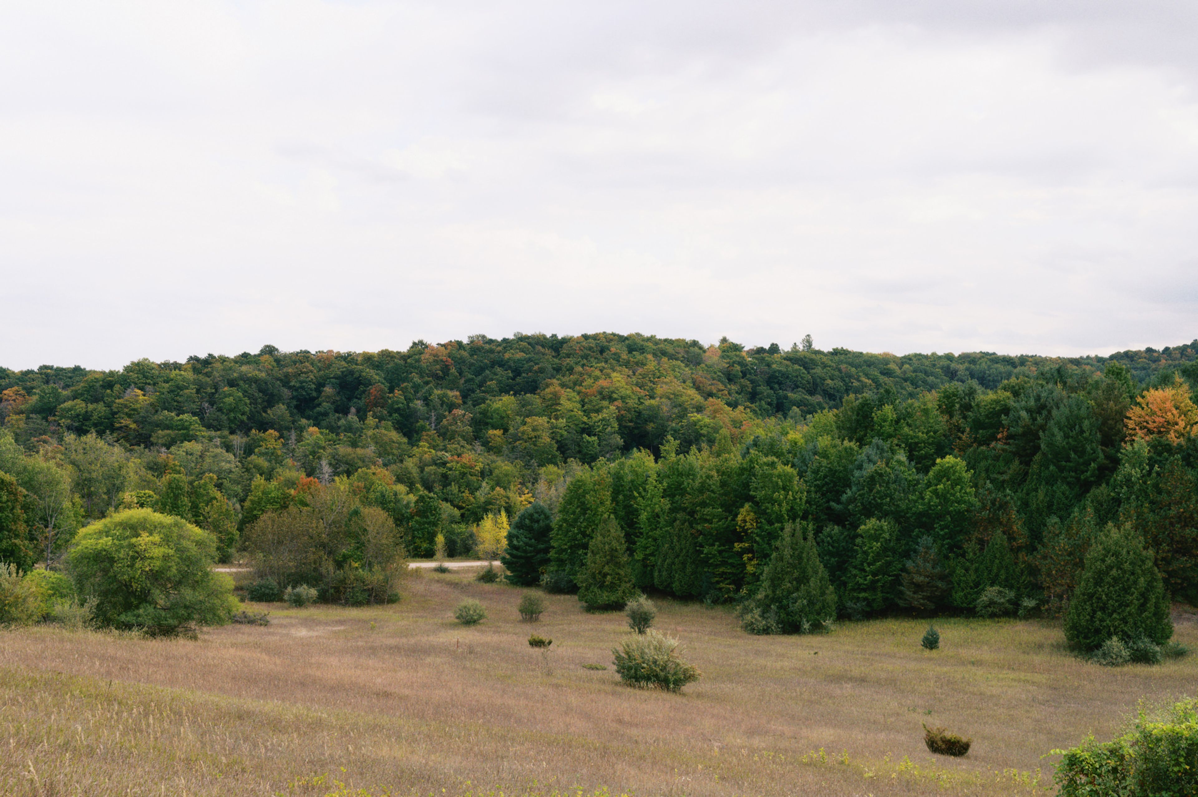 Cover photo of Timberlee Hills