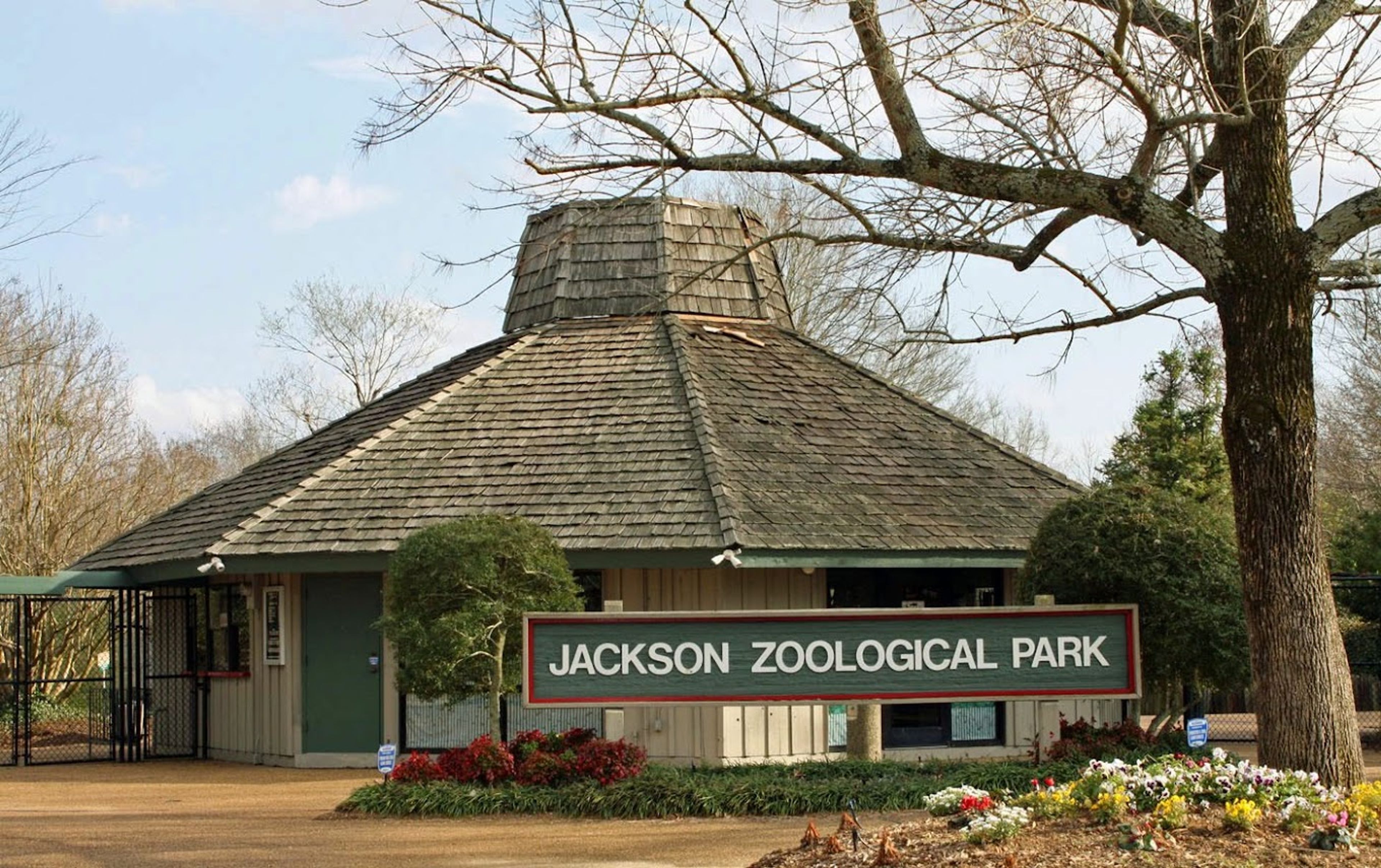 Featured photo from Jackson Zoo