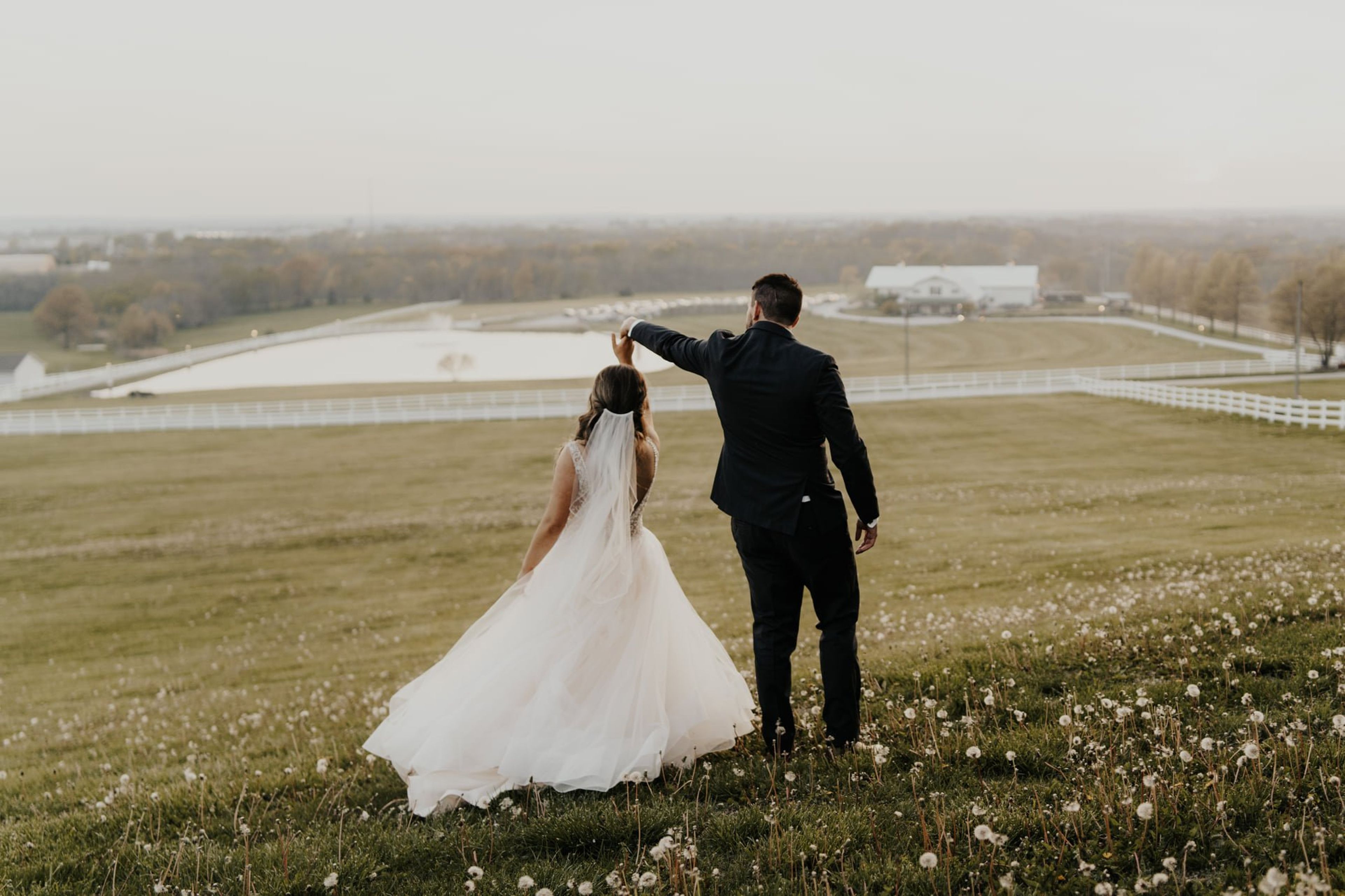 Featured photo from Berry Acres