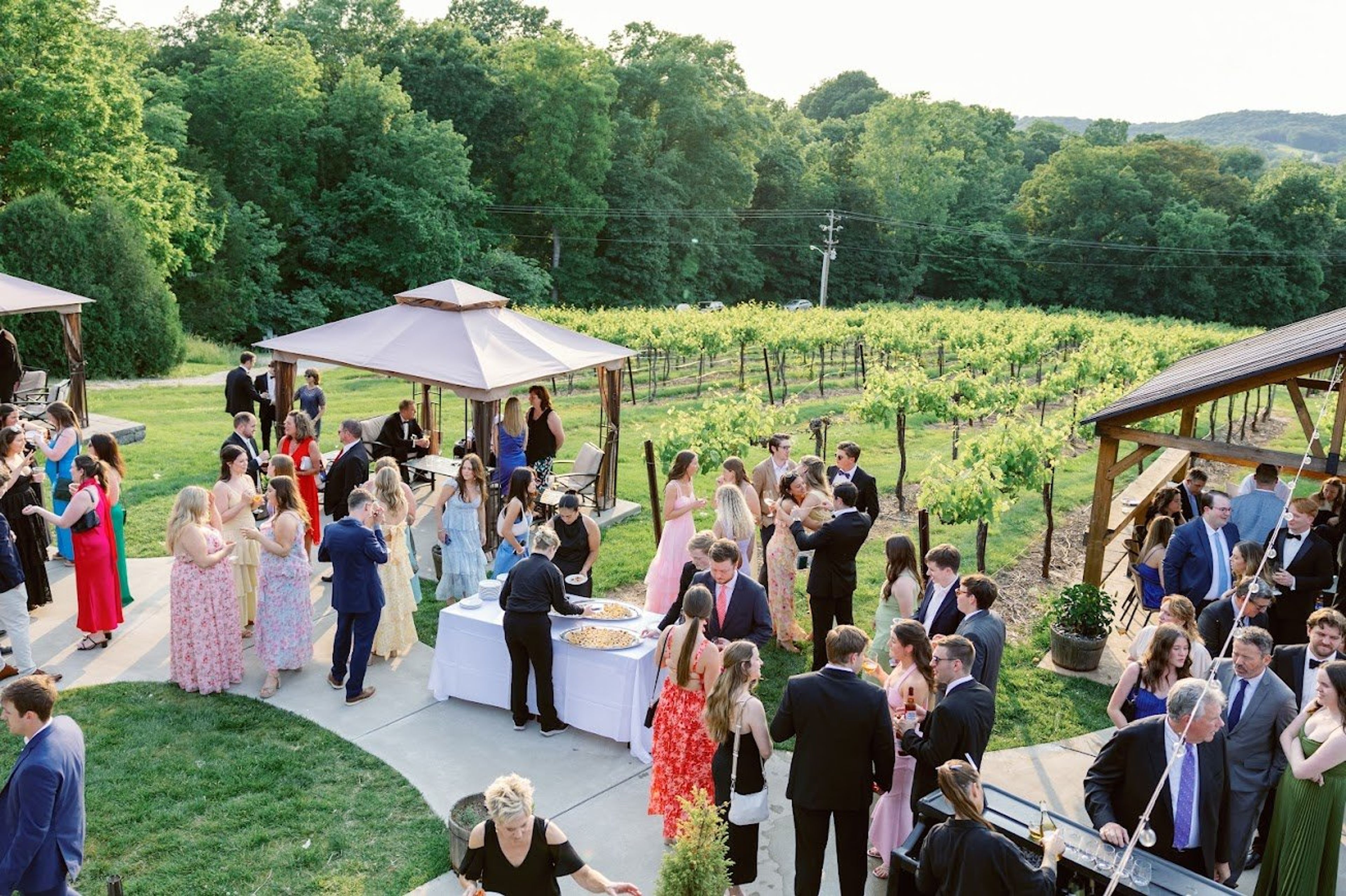 Featured photo from Chandler Hill Vineyards