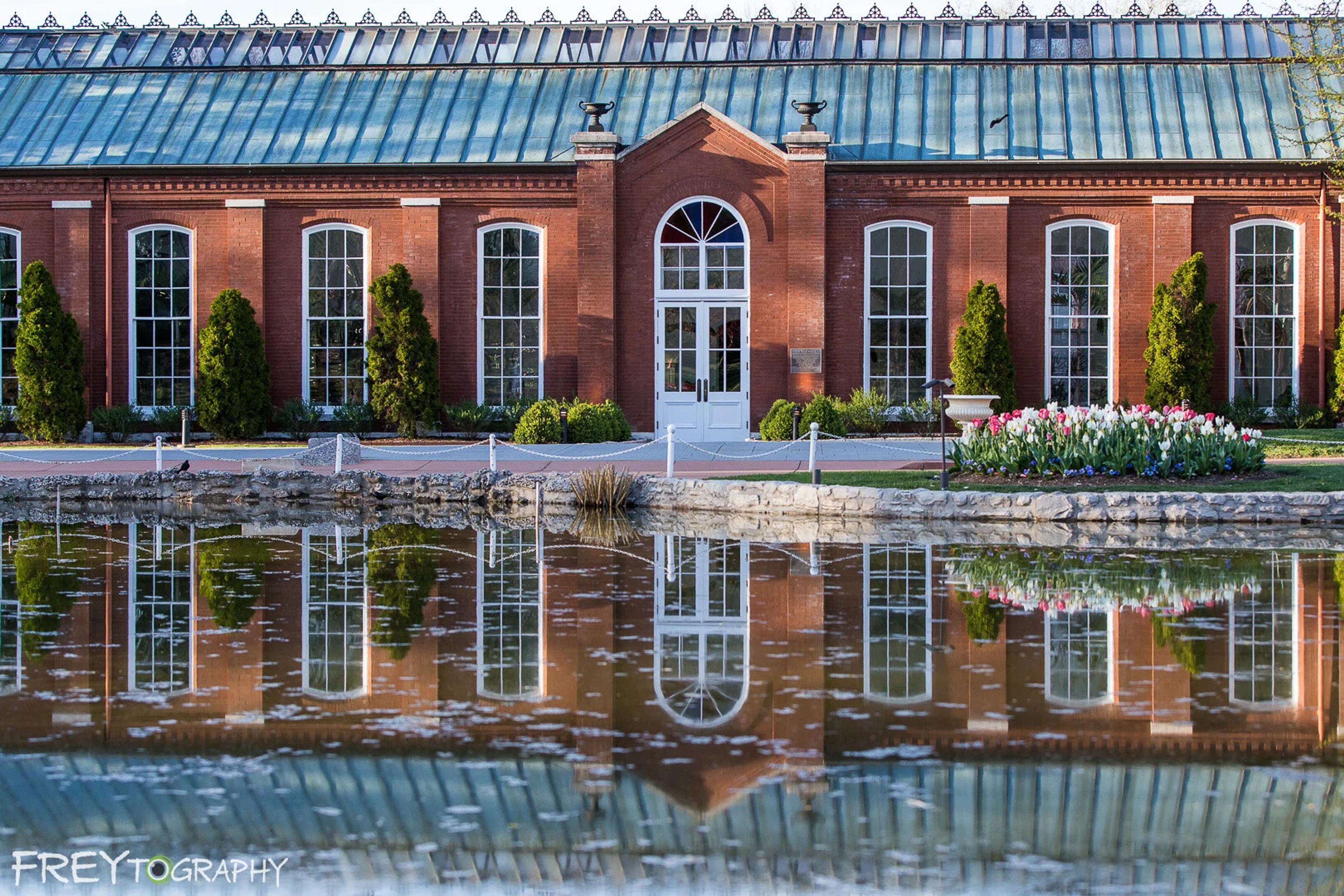 Featured photo from Piper Palm House