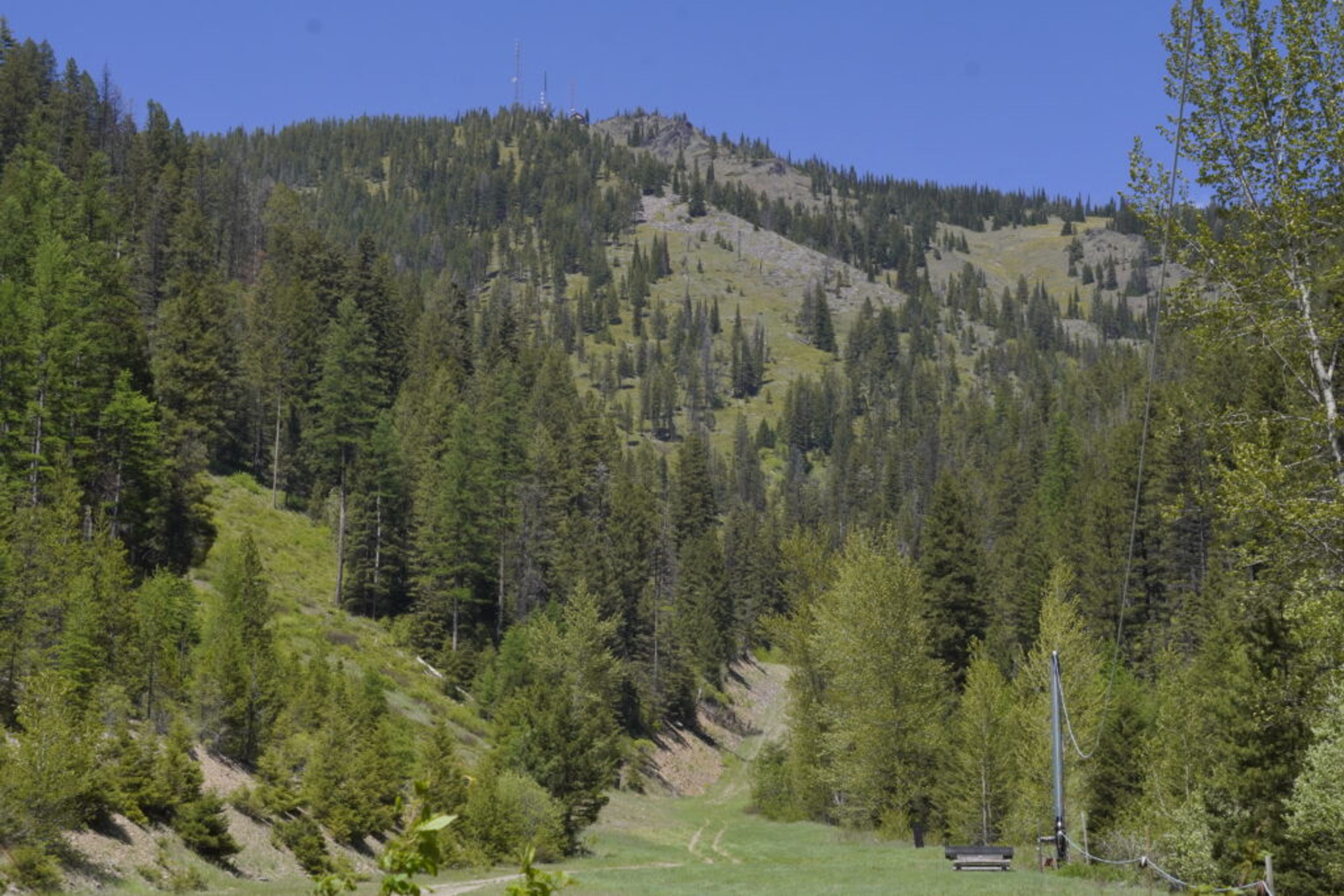 Featured photo from Montana Snowbowl