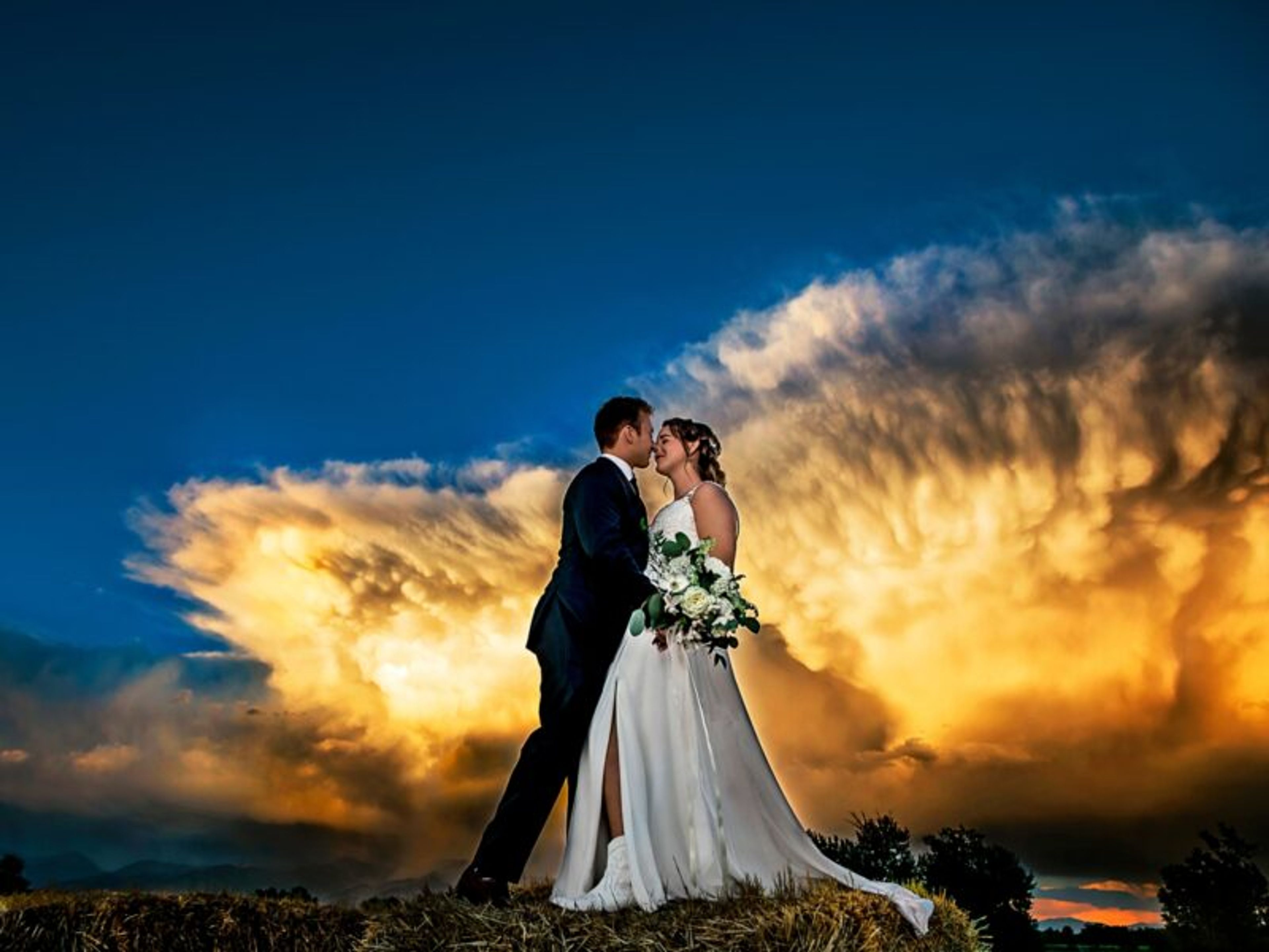 Featured photo from Rockin' TJ Ranch