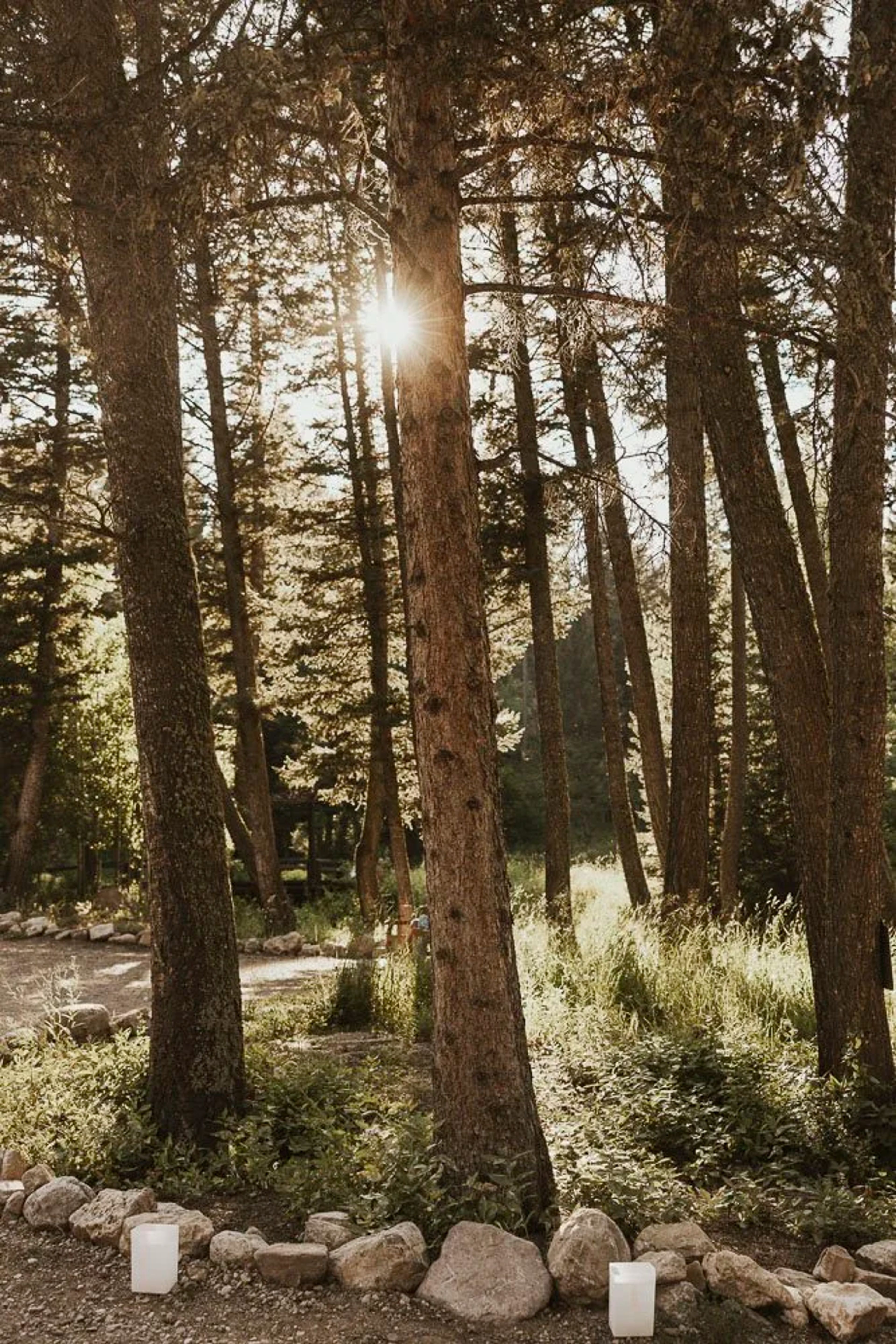 Featured photo from The Woodlands at Cottonwood Canyon