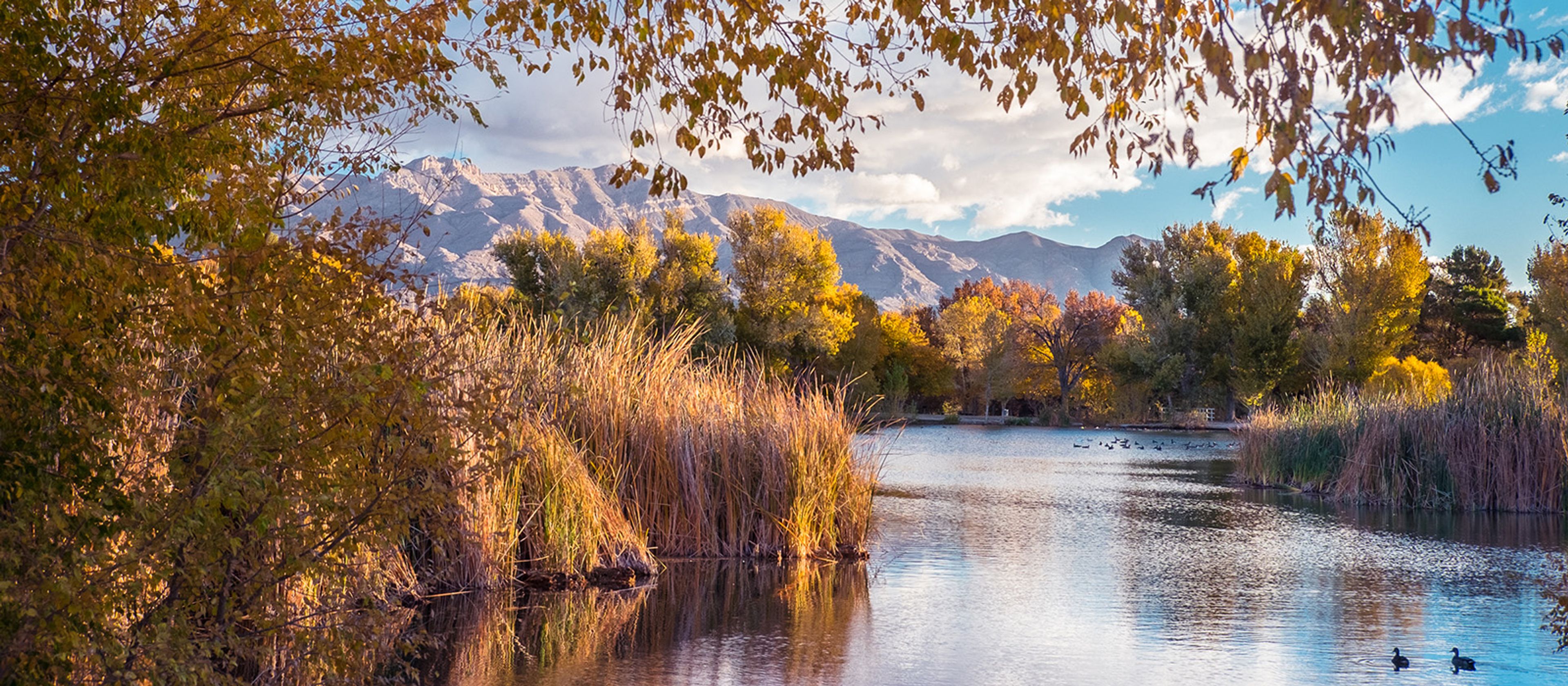 Featured photo from Tule Springs