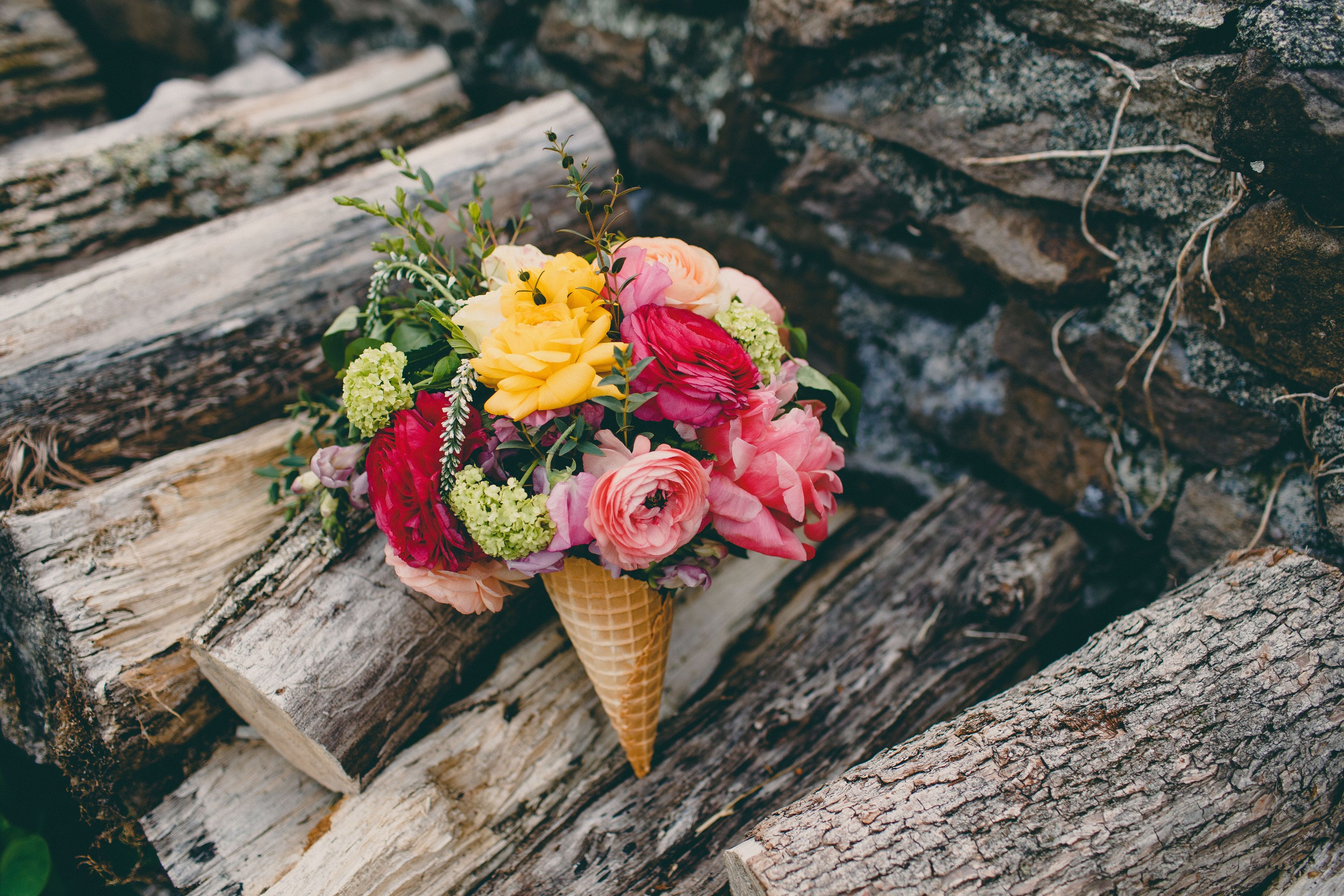 Featured photo from Brookmill Farm