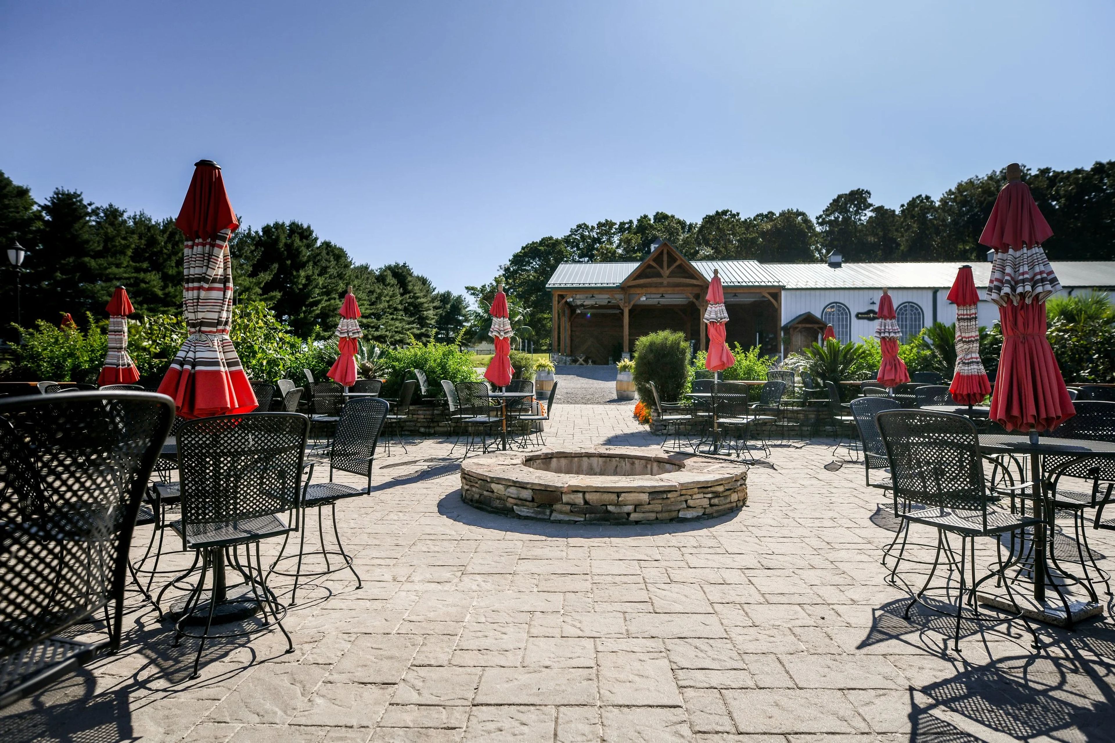 Featured photo from Beneduce Vineyards