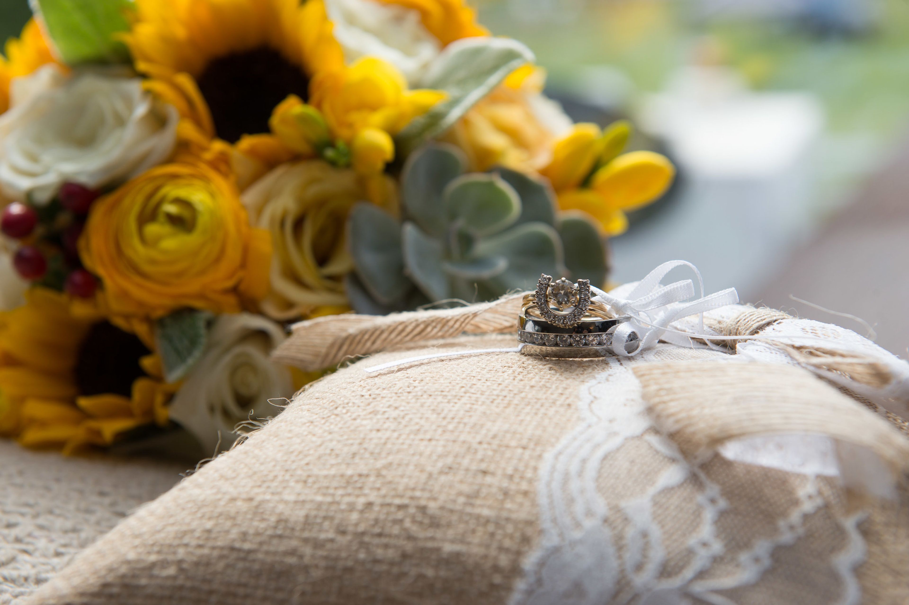 Featured photo from Judney Farms