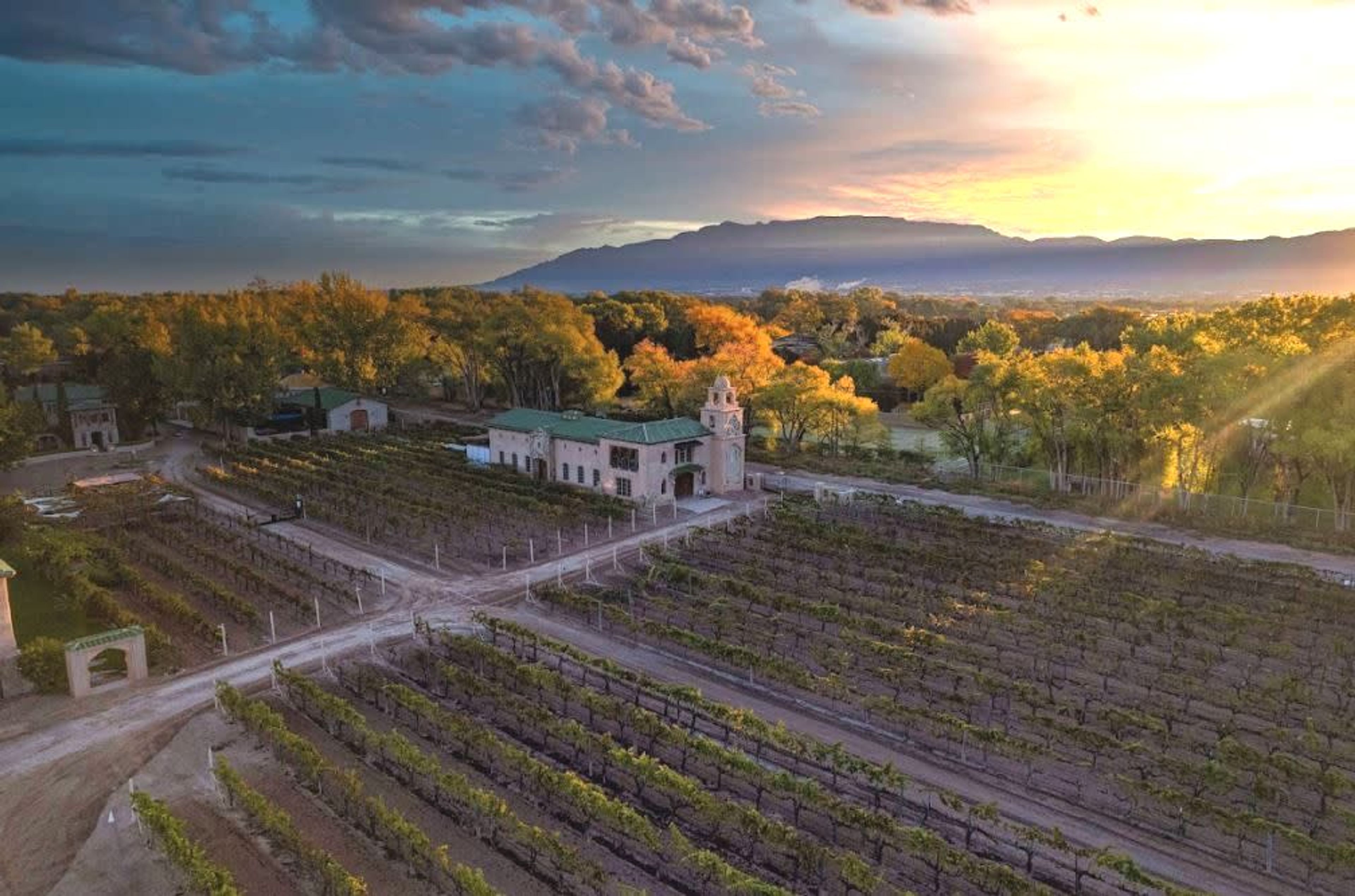 Featured photo from Casa Rondena Winery