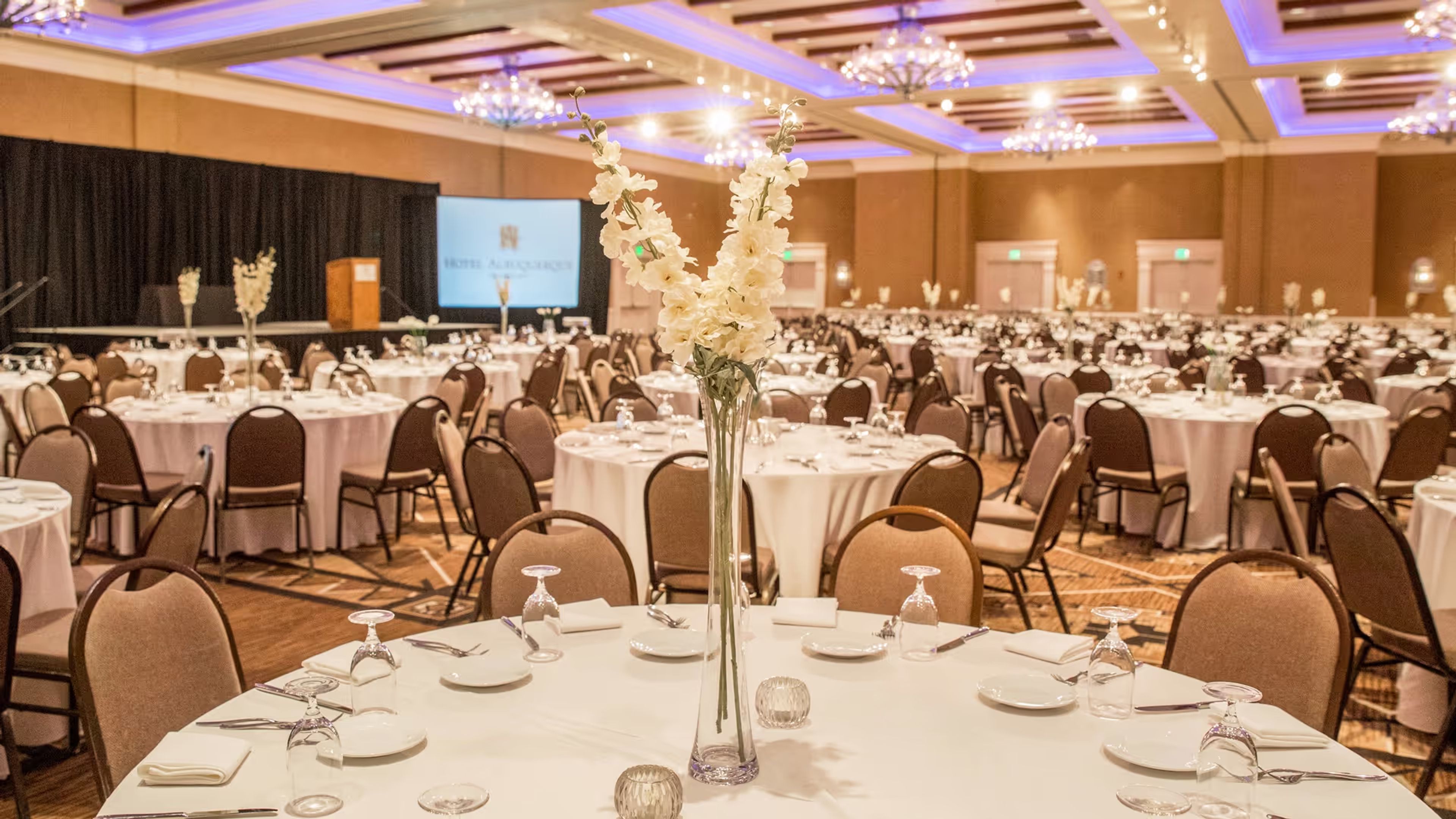 Featured photo from Hotel Albuquerque
