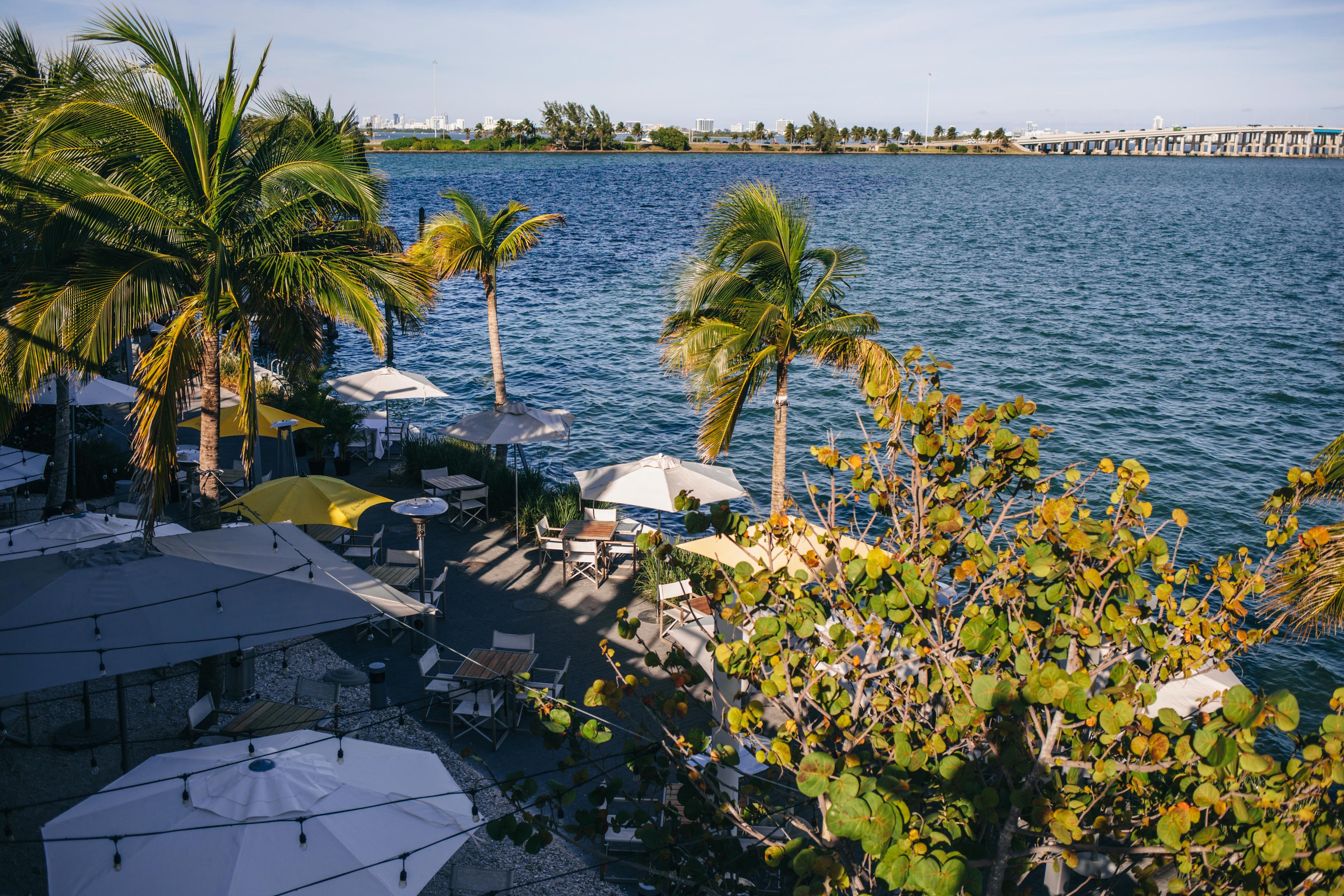 Cover photo of Amara at Paraiso