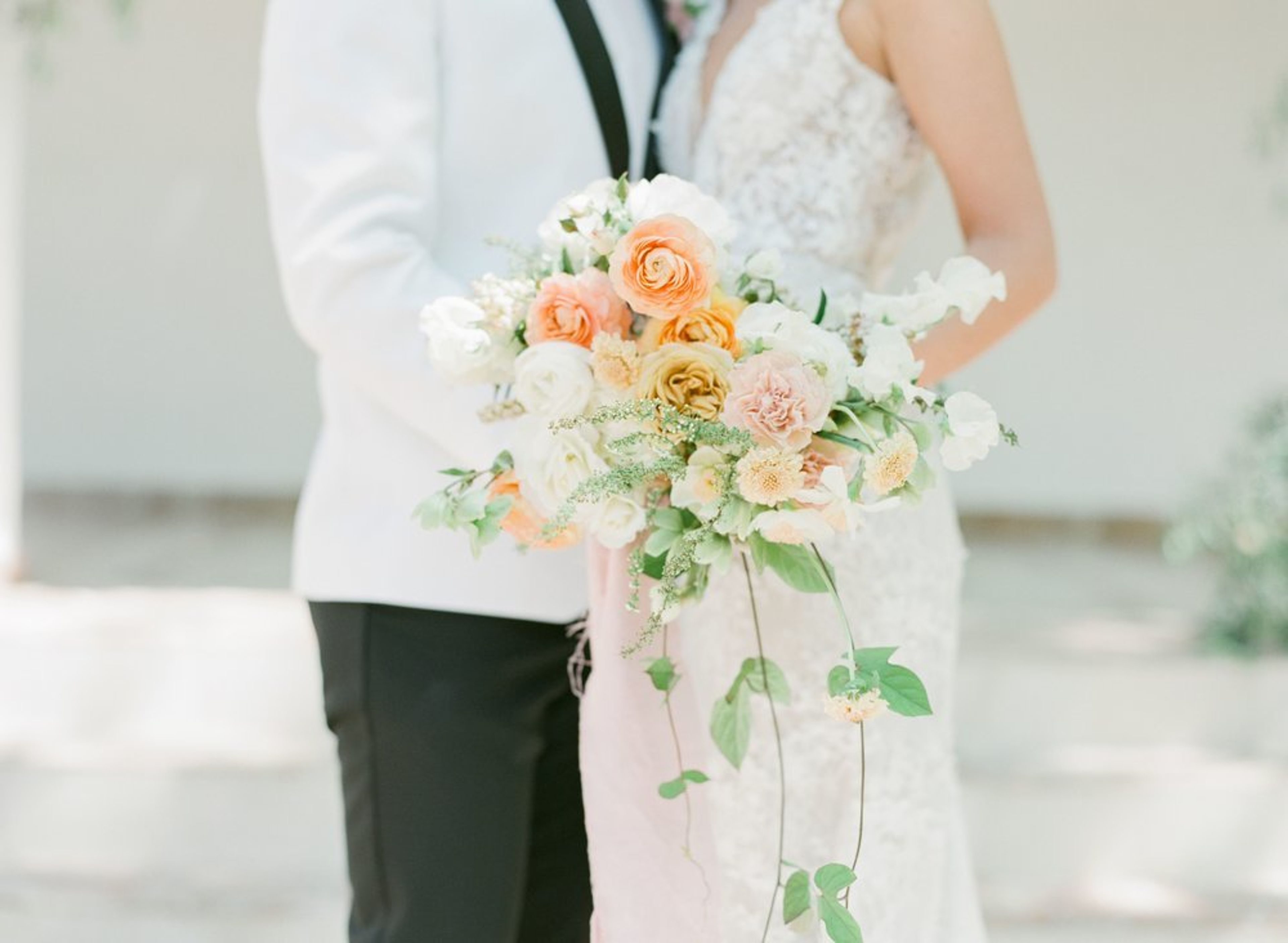 Cover photo of Rooted And Wild Co.