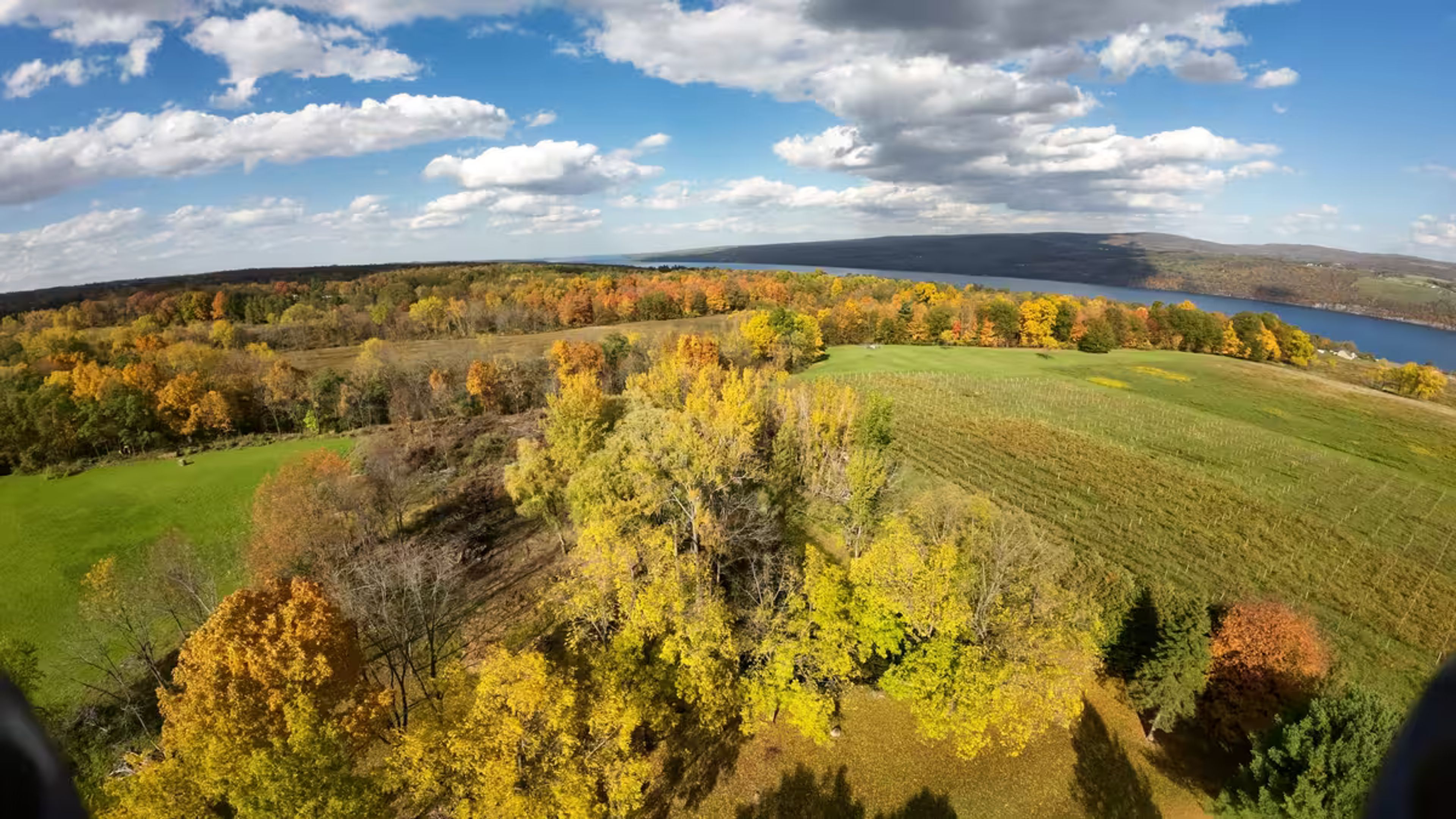 Featured photo from Castel Grisch Winery