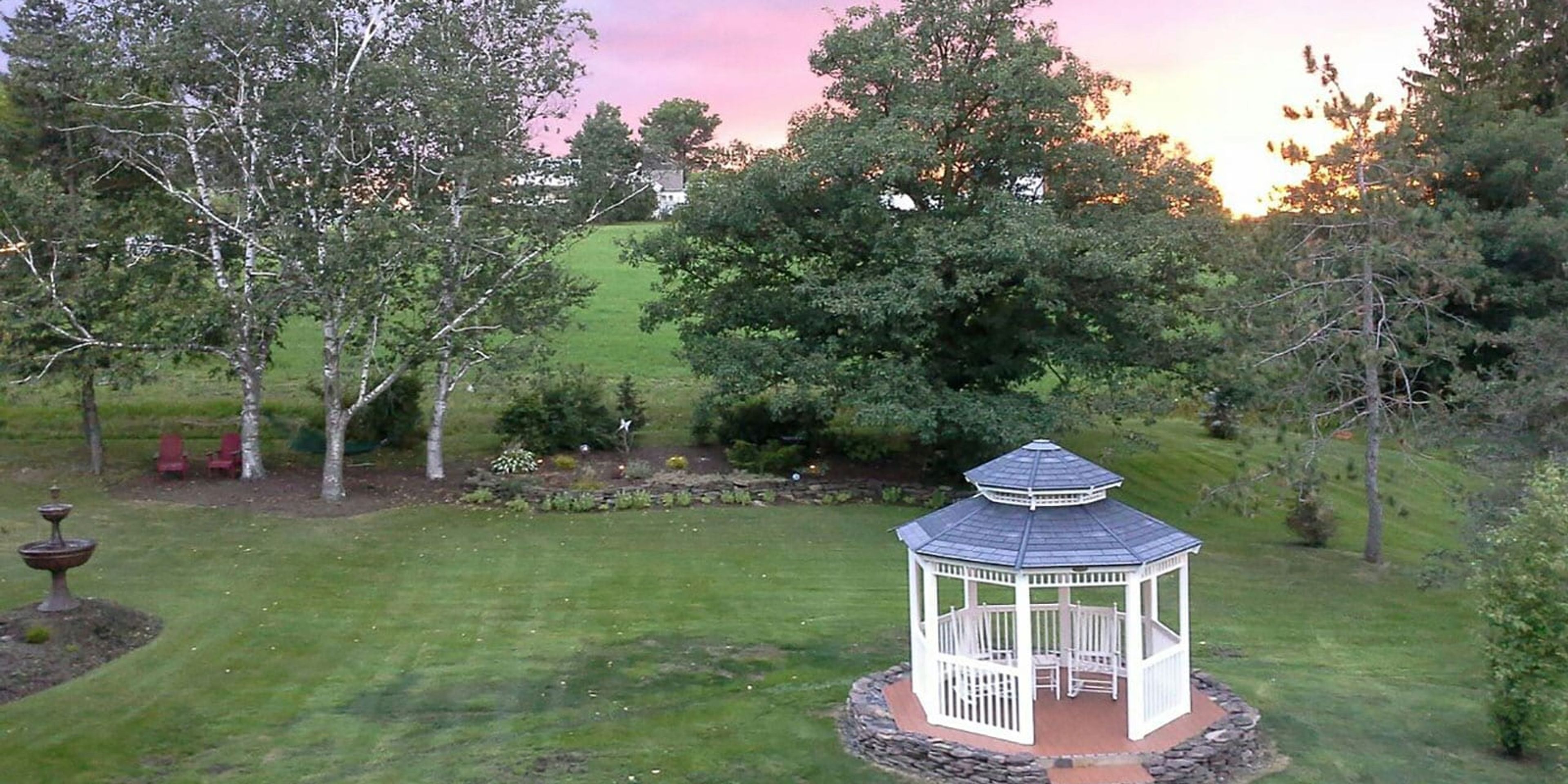 Featured photo from Grapevine Farms