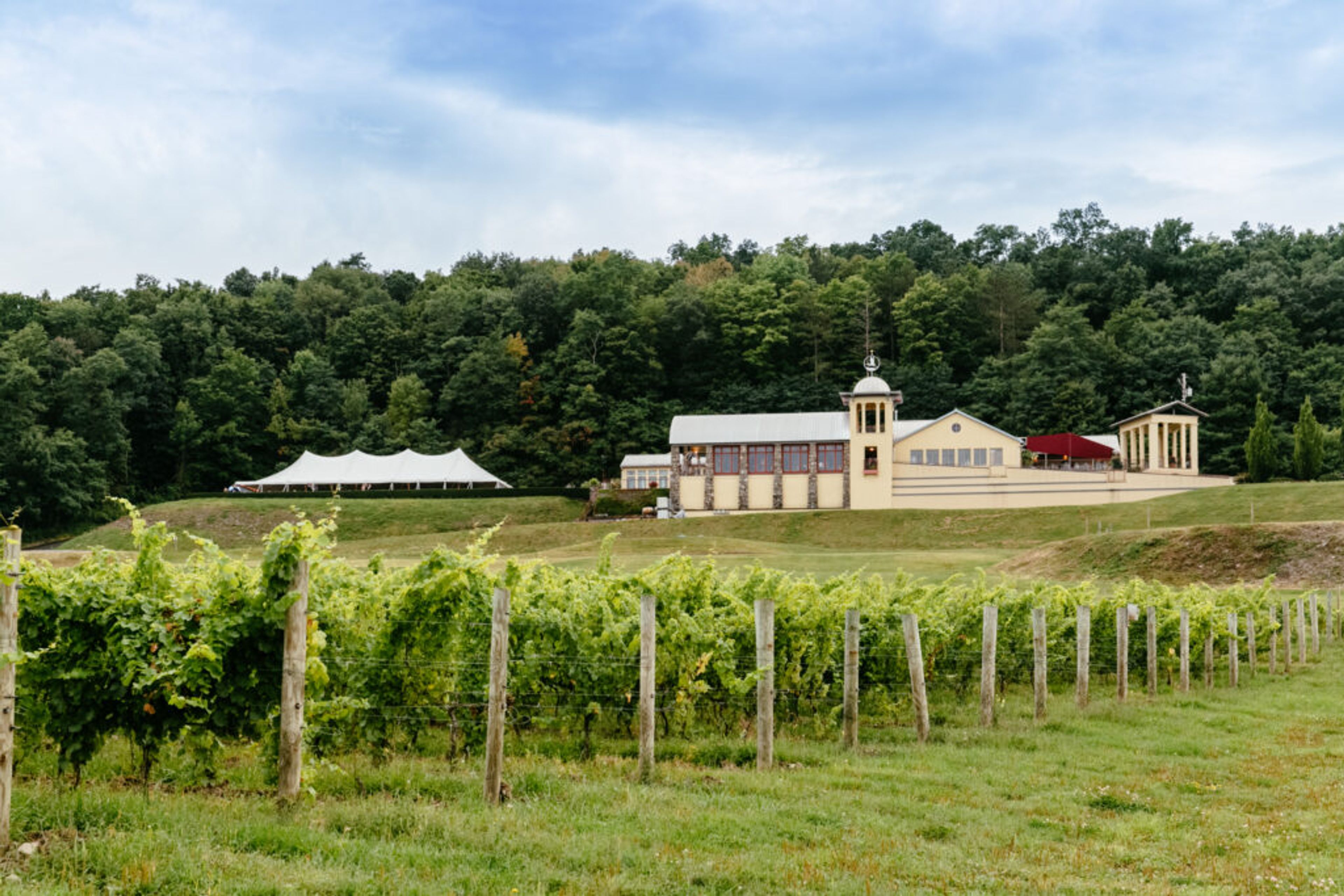 Featured photo from Heron Hill Winery