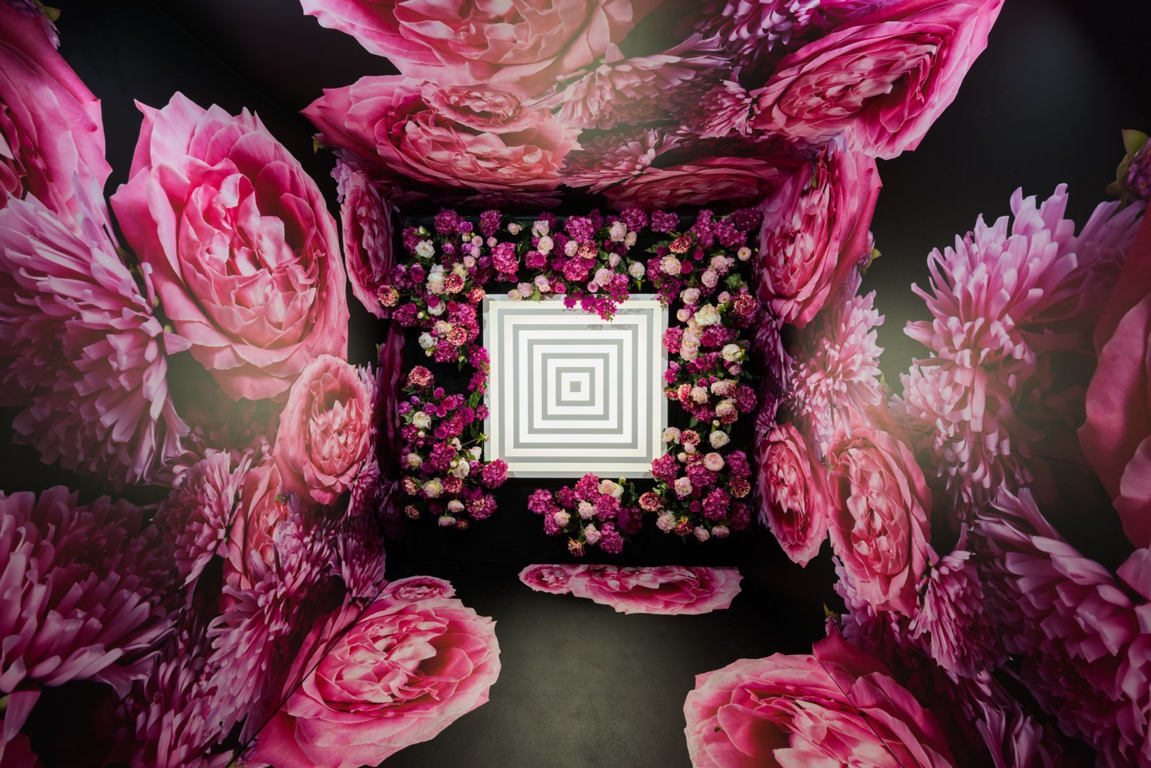 Cover photo of Webb Production