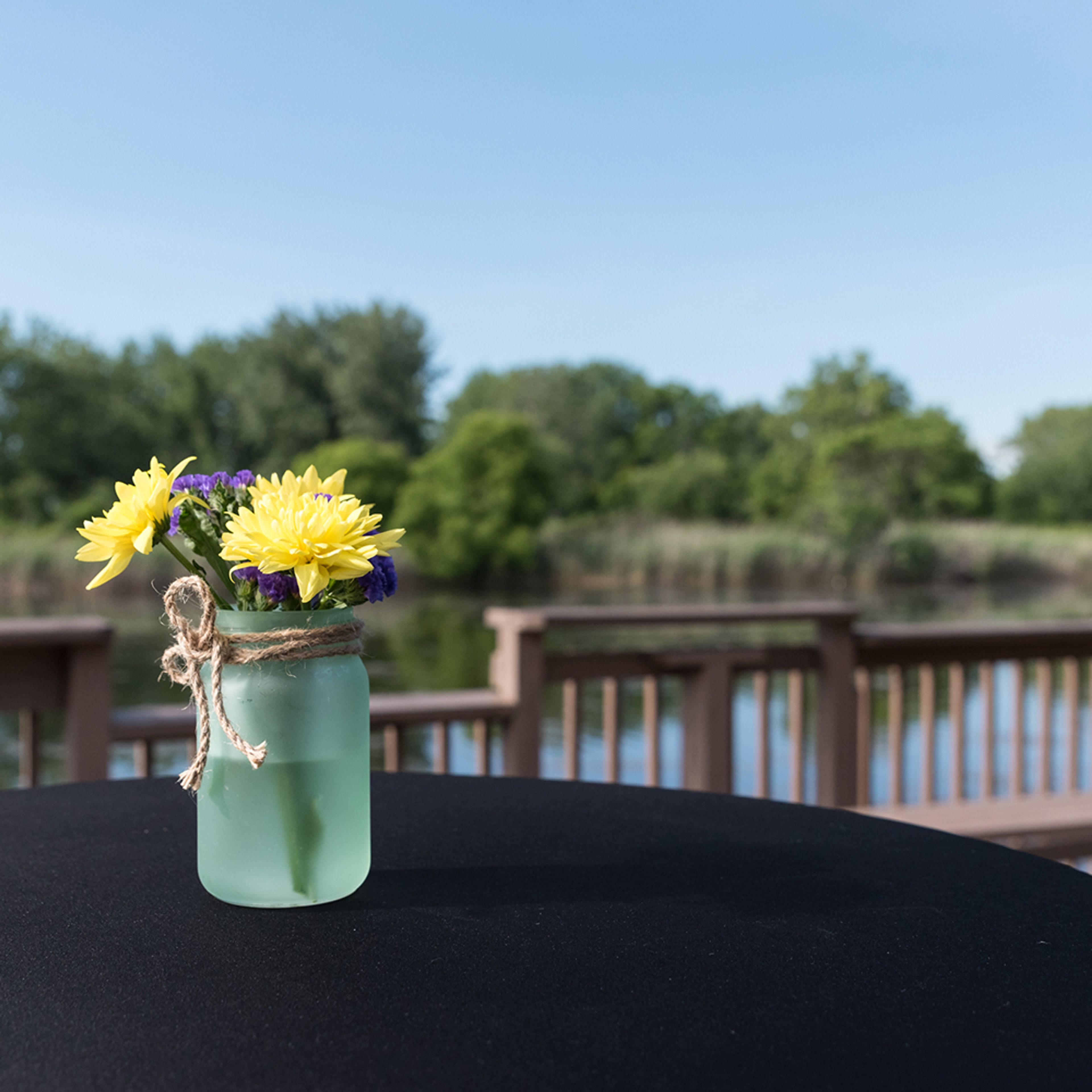 Cover photo of Tifft Nature Preserve