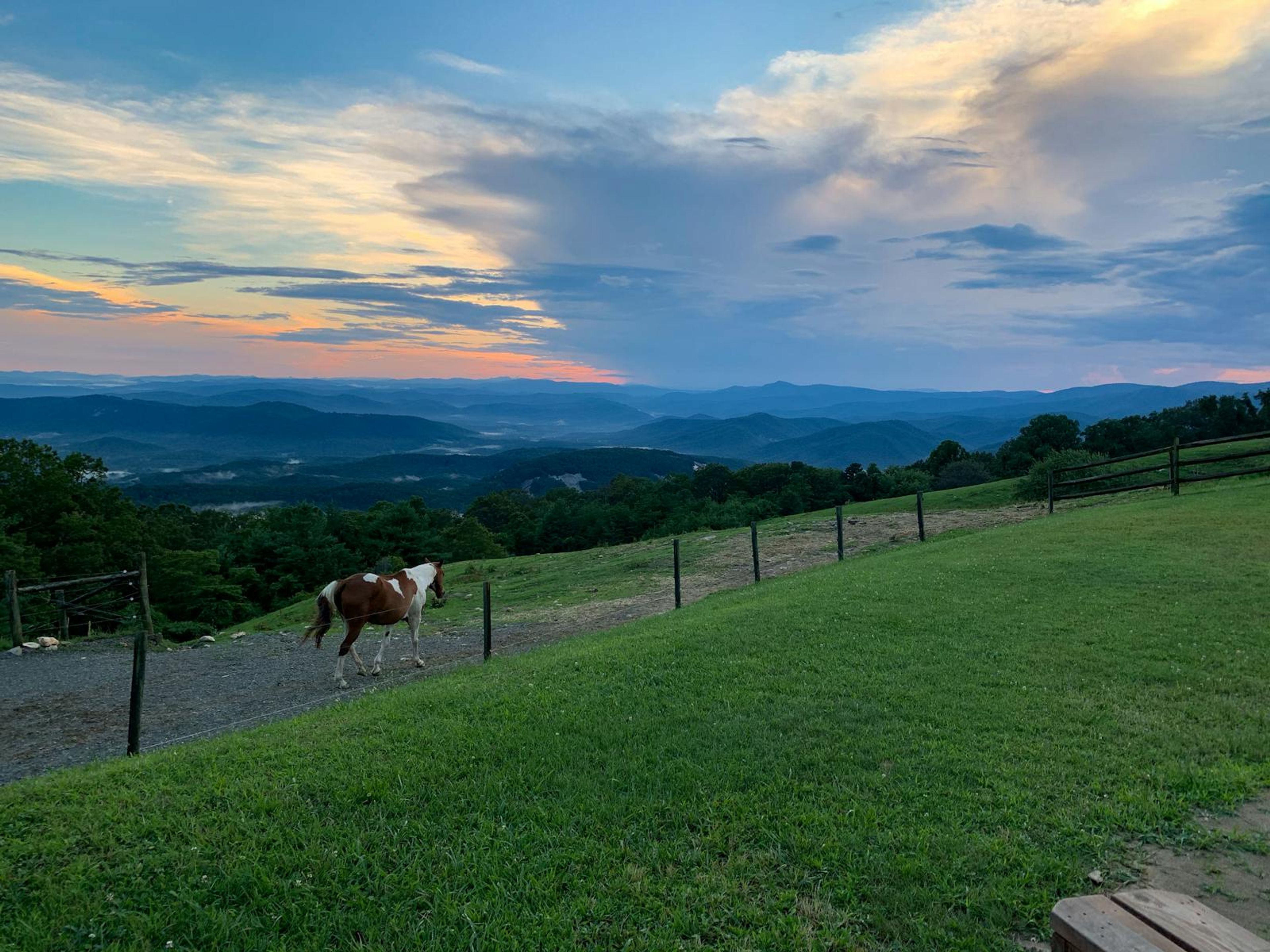 Featured photo from Camp Cheerio