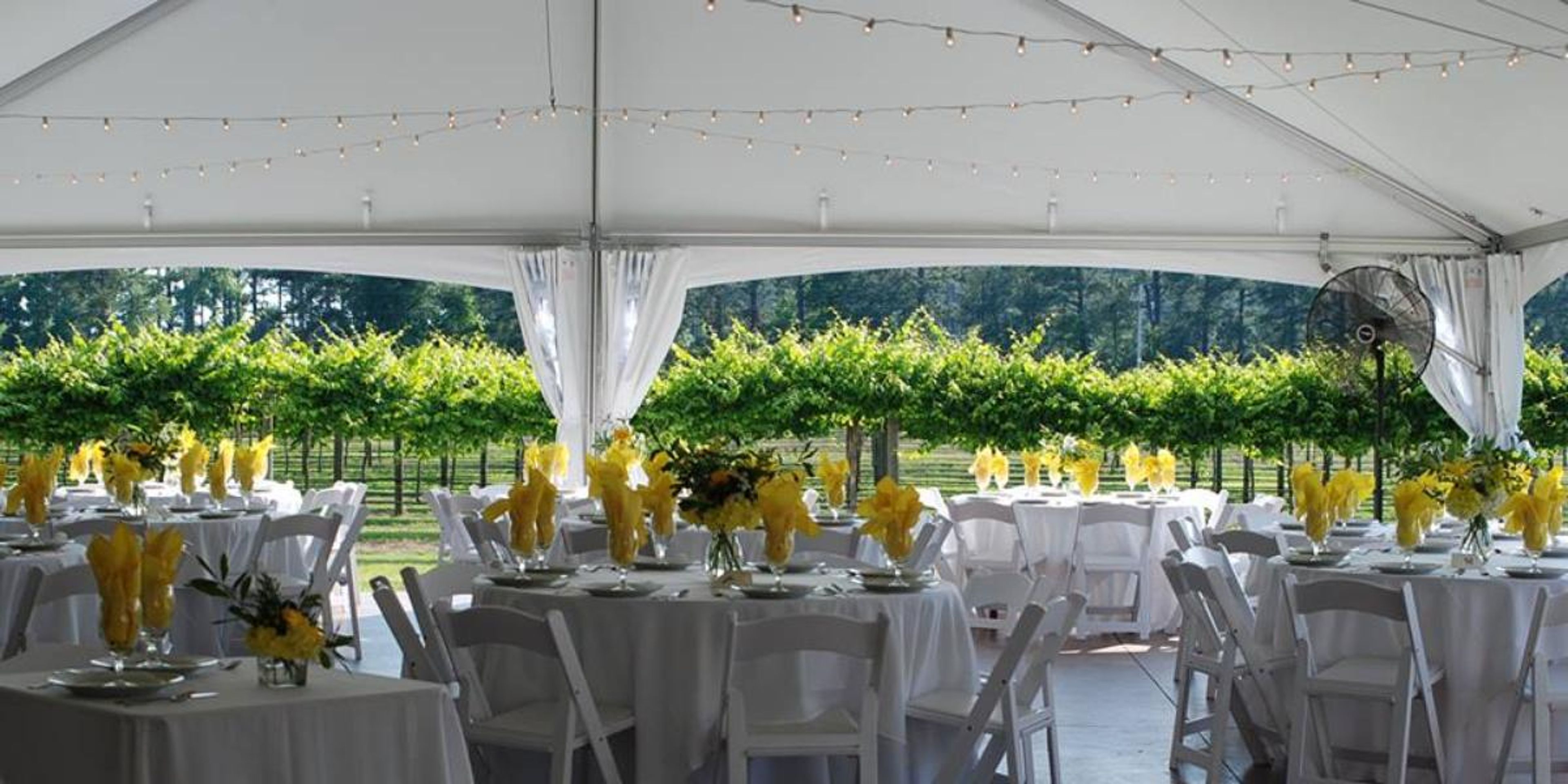 Featured photo from Cypress Bend Vineyards