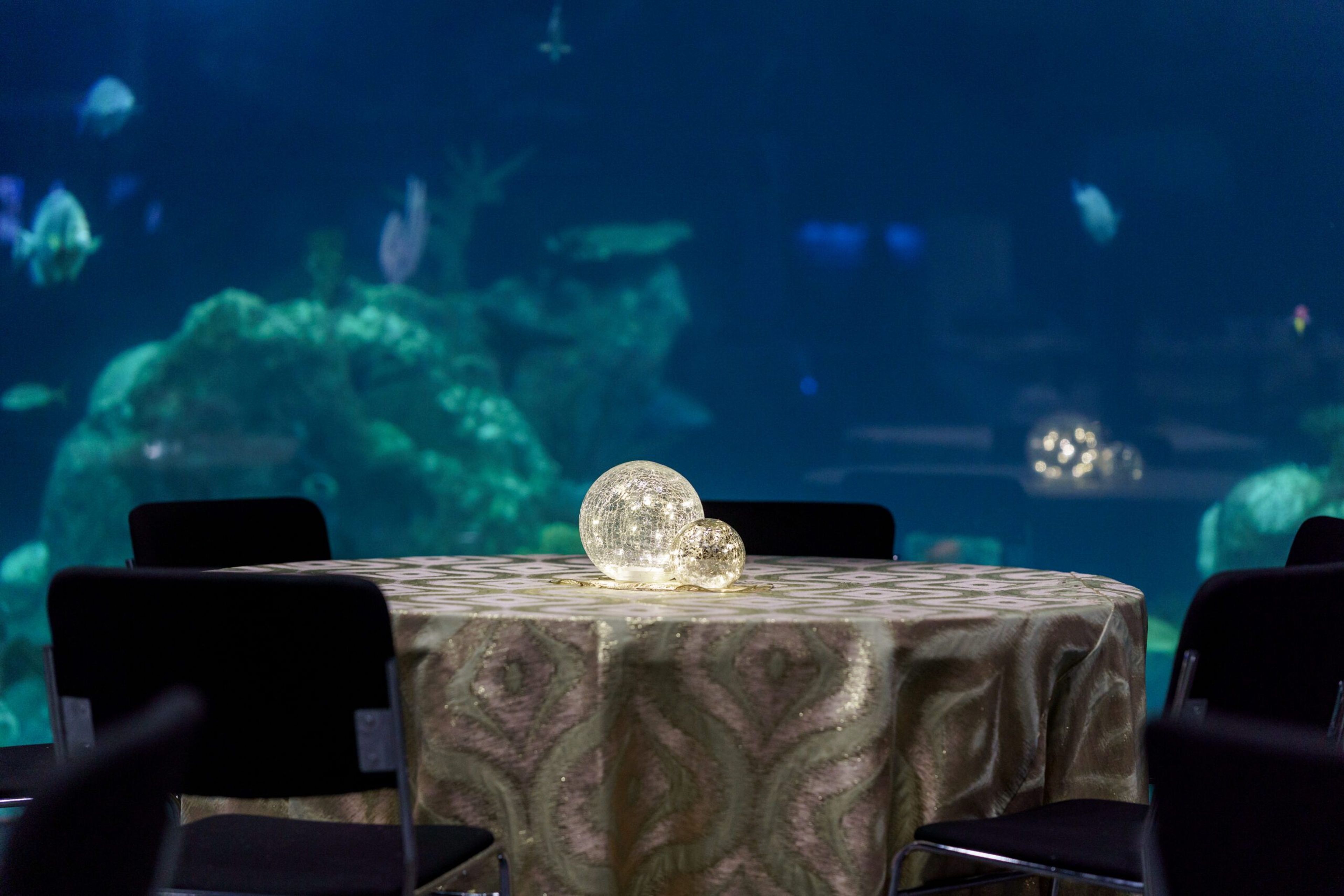 Featured photo from Greensboro Science Center