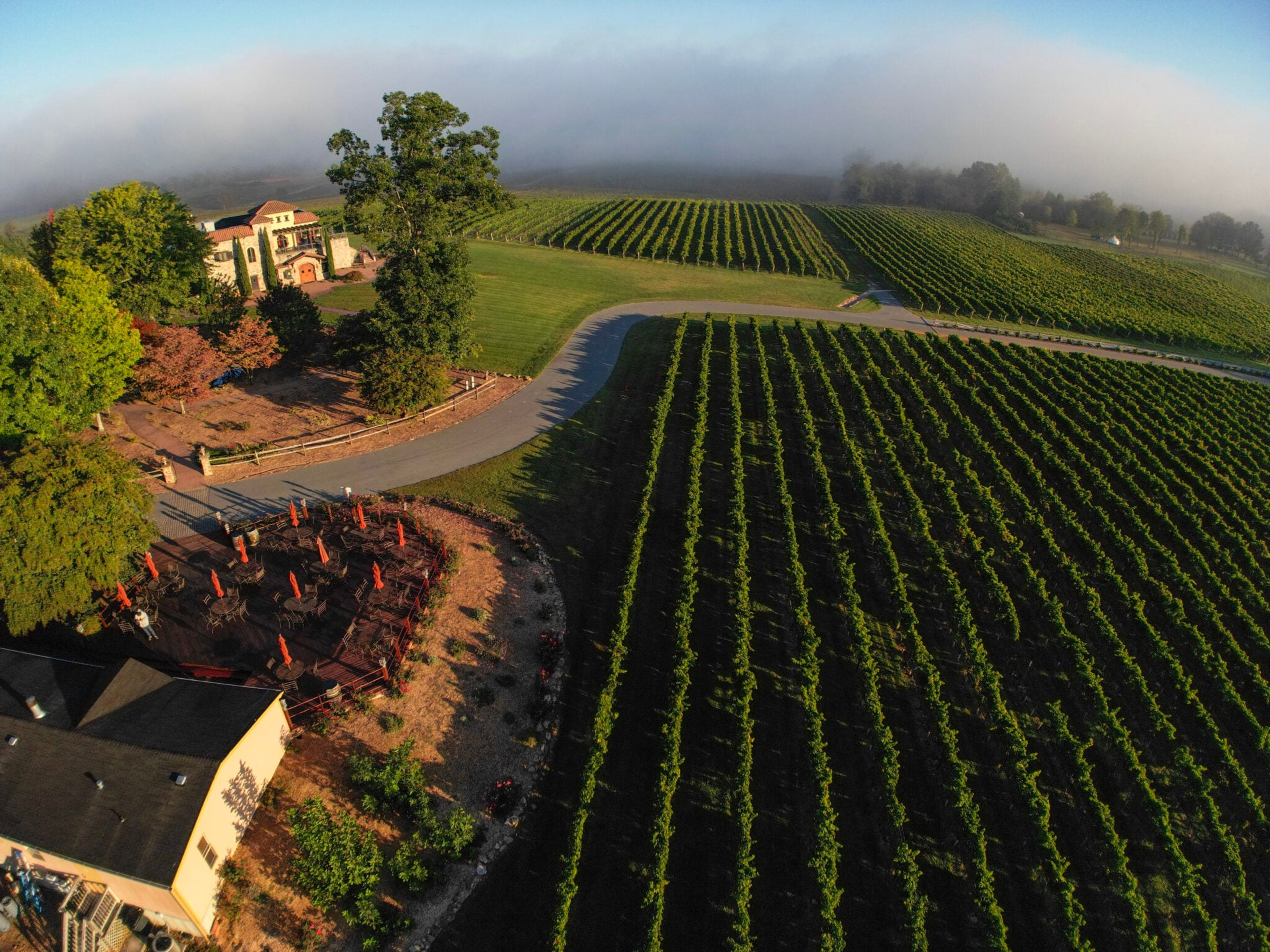 Featured photo from Raffaldini Vineyards & Winery