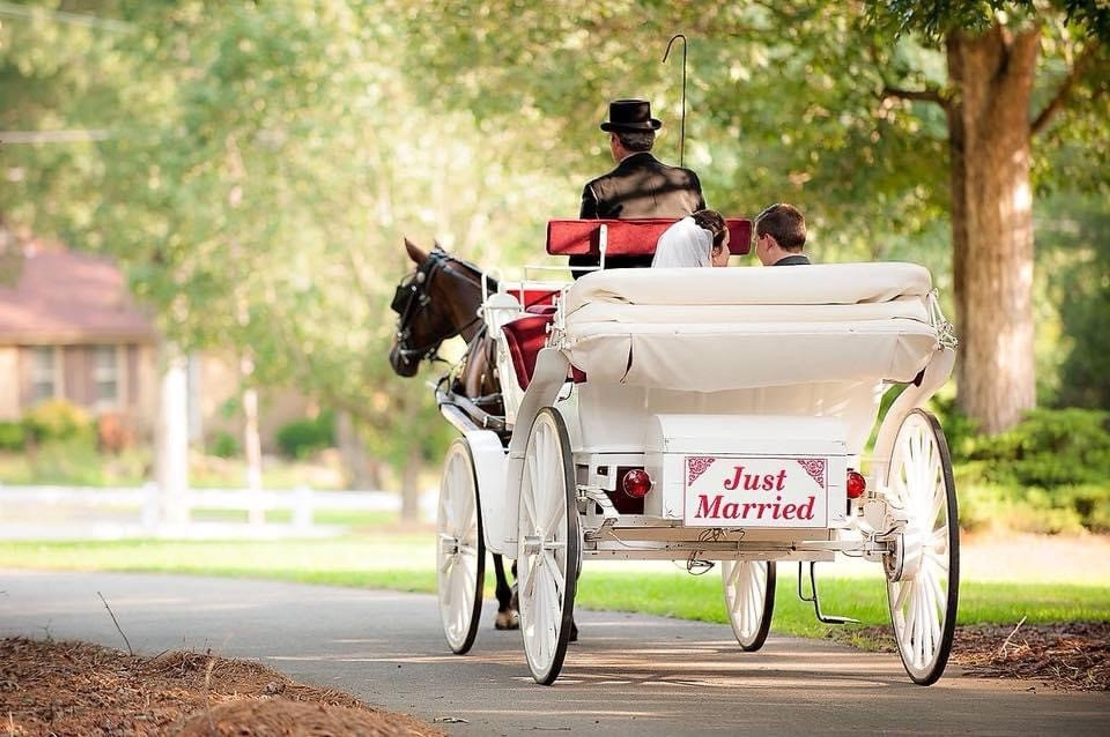 Featured photo from Saratoga Springs
