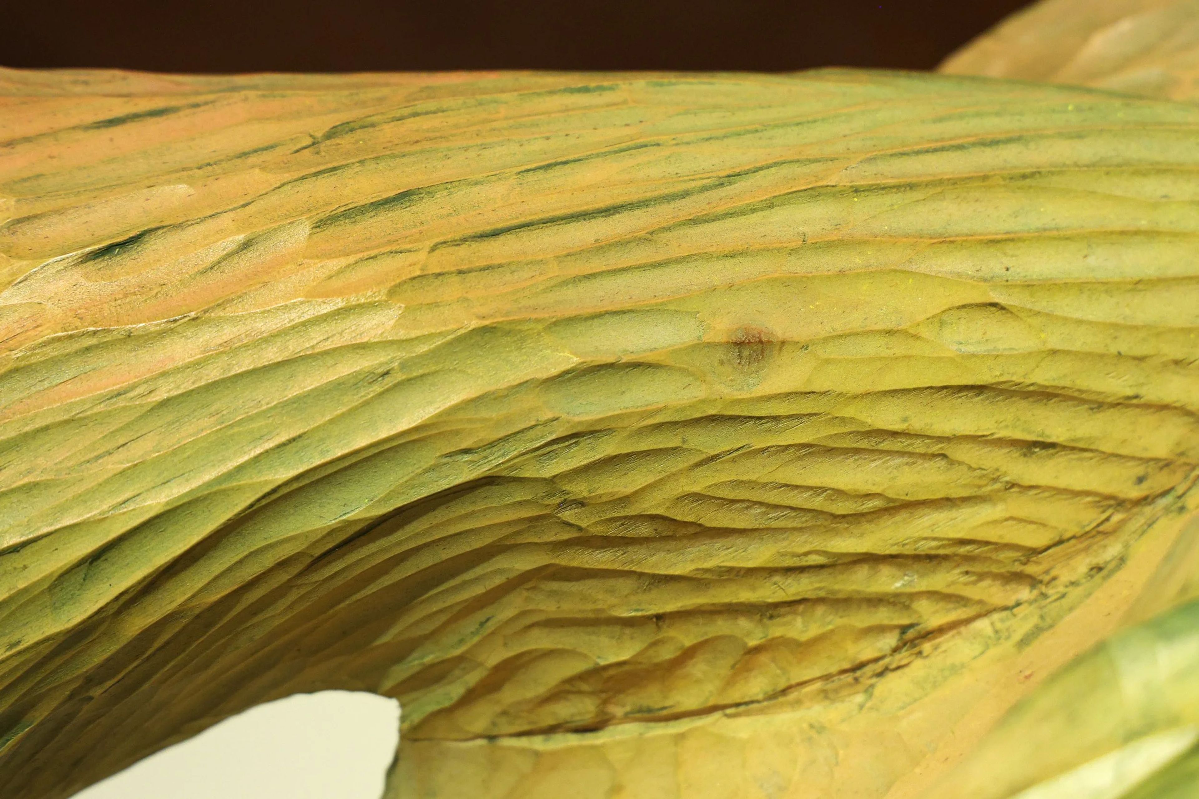 Featured photo from The Blowing Rock Art & History Museum