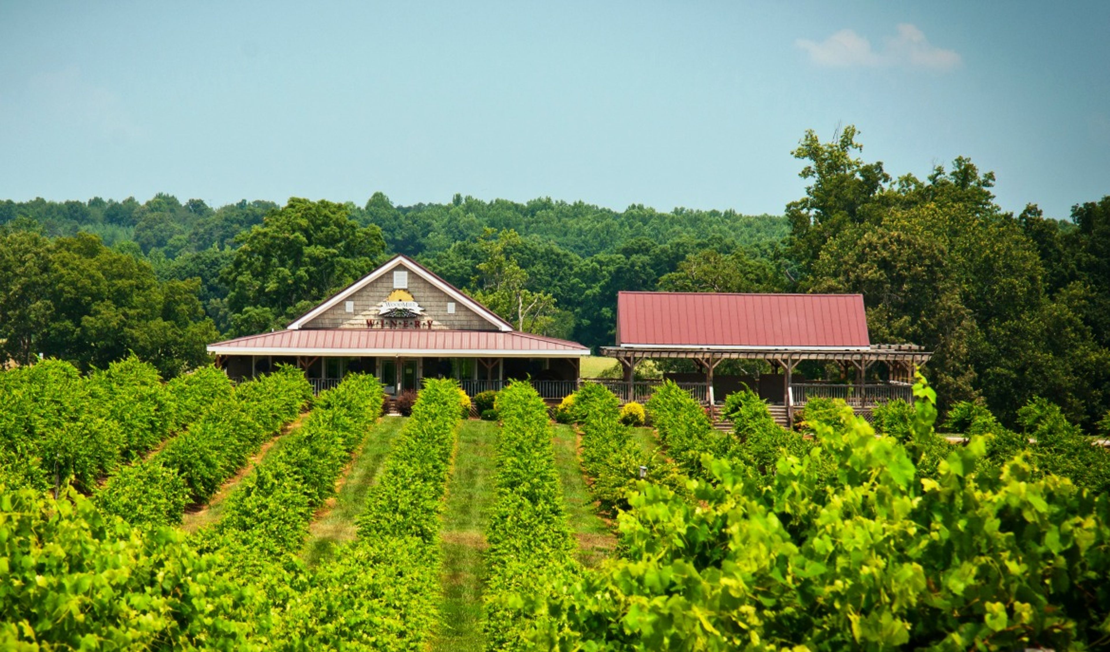 Featured photo from Woodmill Winery