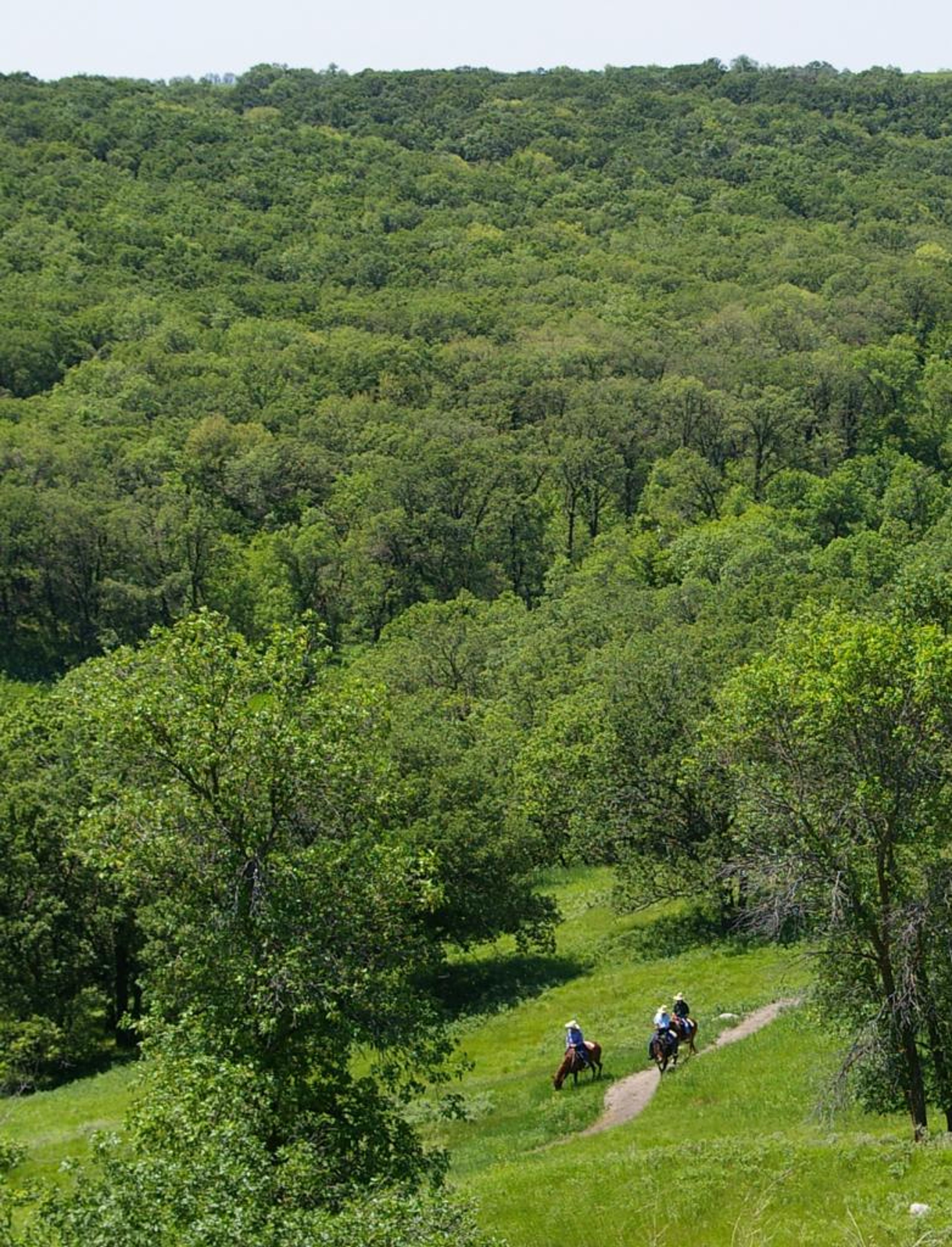 Featured photo from Fort Ransom State Park