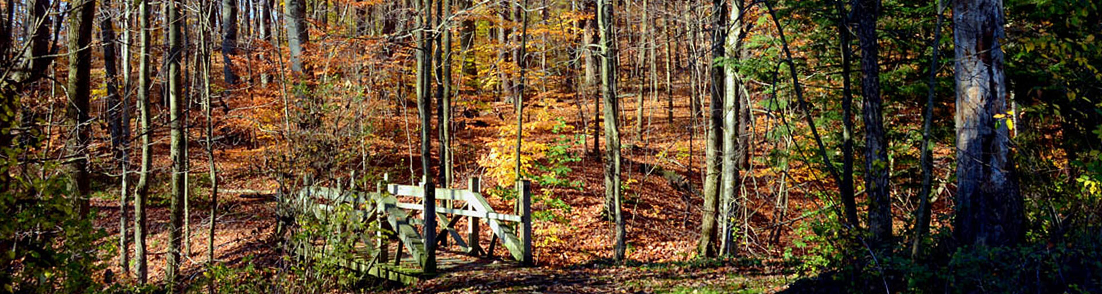 Featured photo from Bessie Benner Metzenbaum Park, Geauga Park District