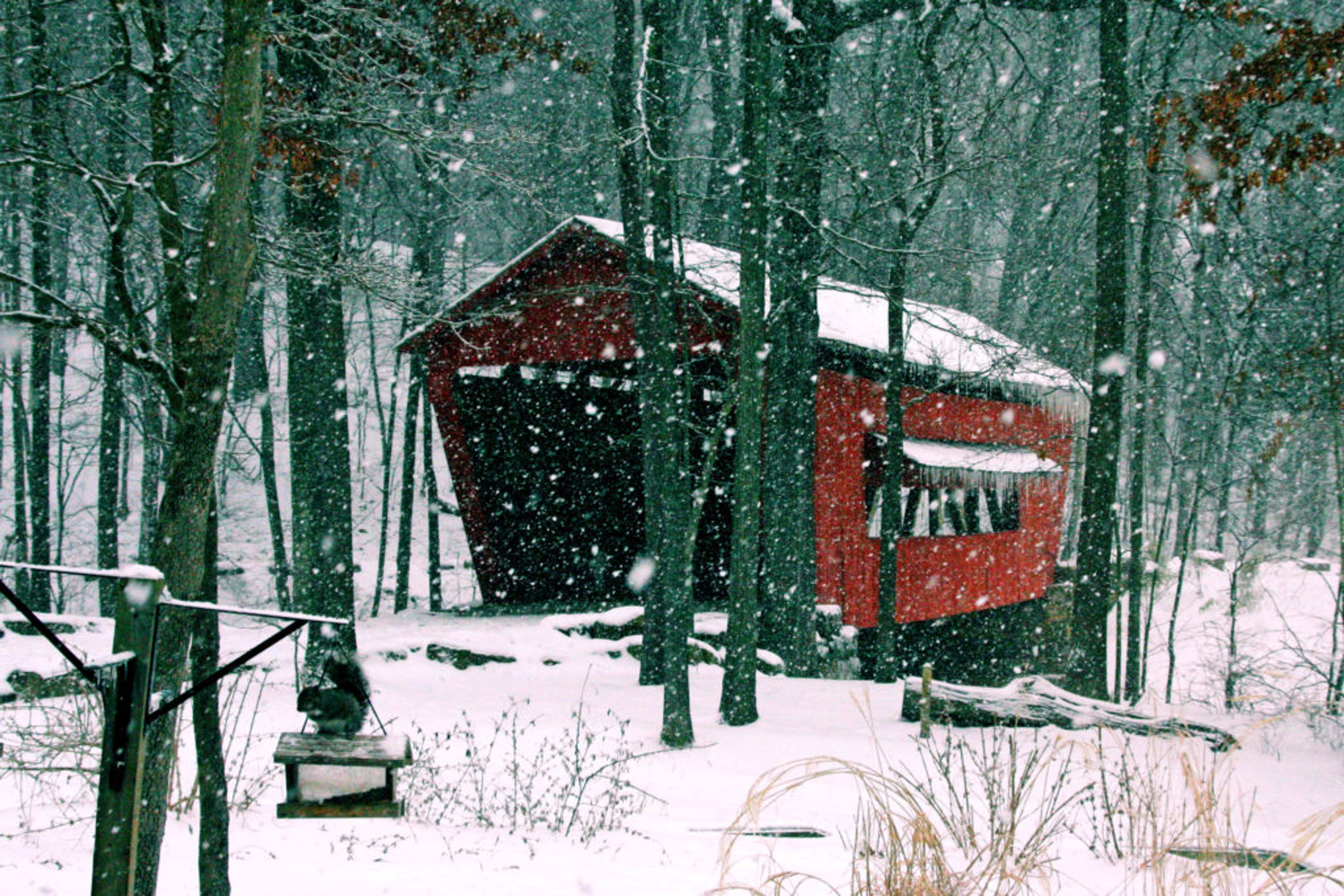 Featured photo from Charles Alley Nature Park