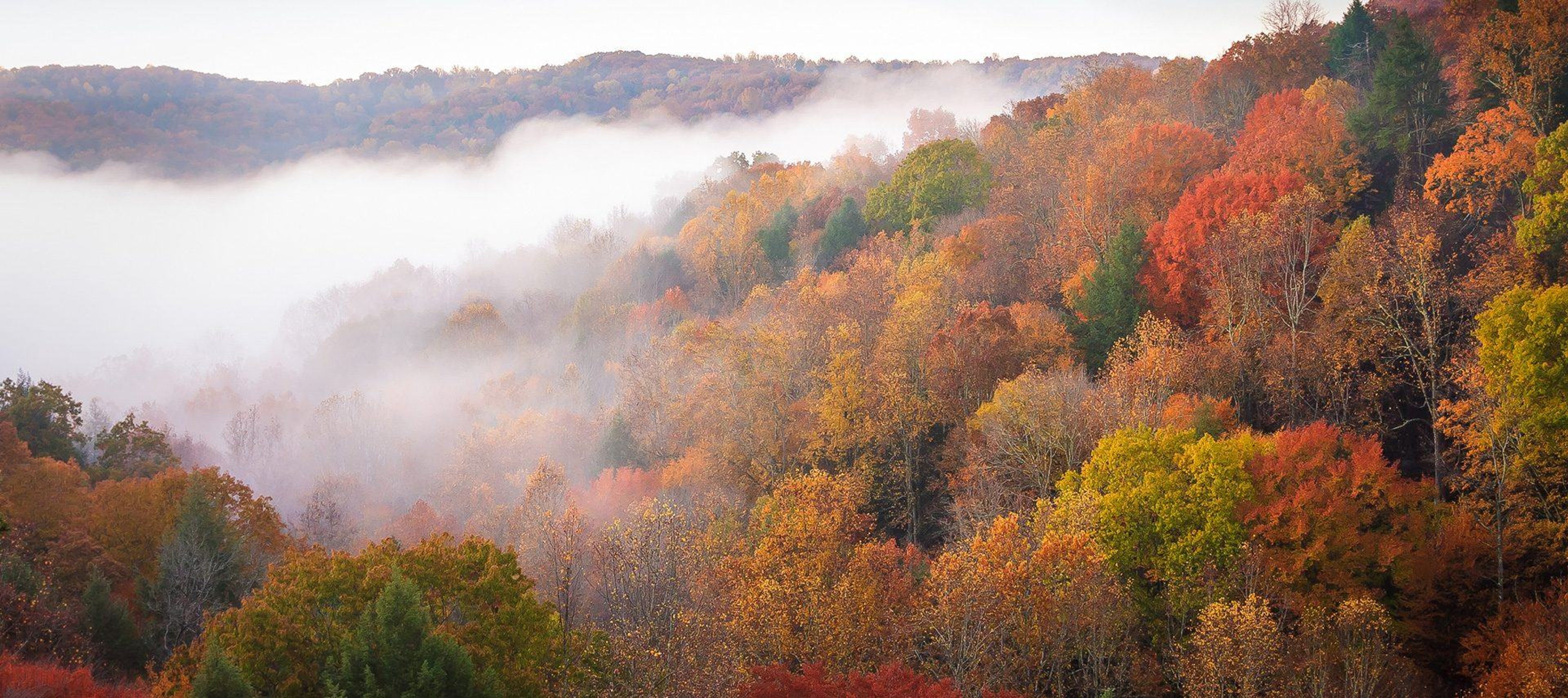 Featured photo from Hocking Hills Cabins & Resort