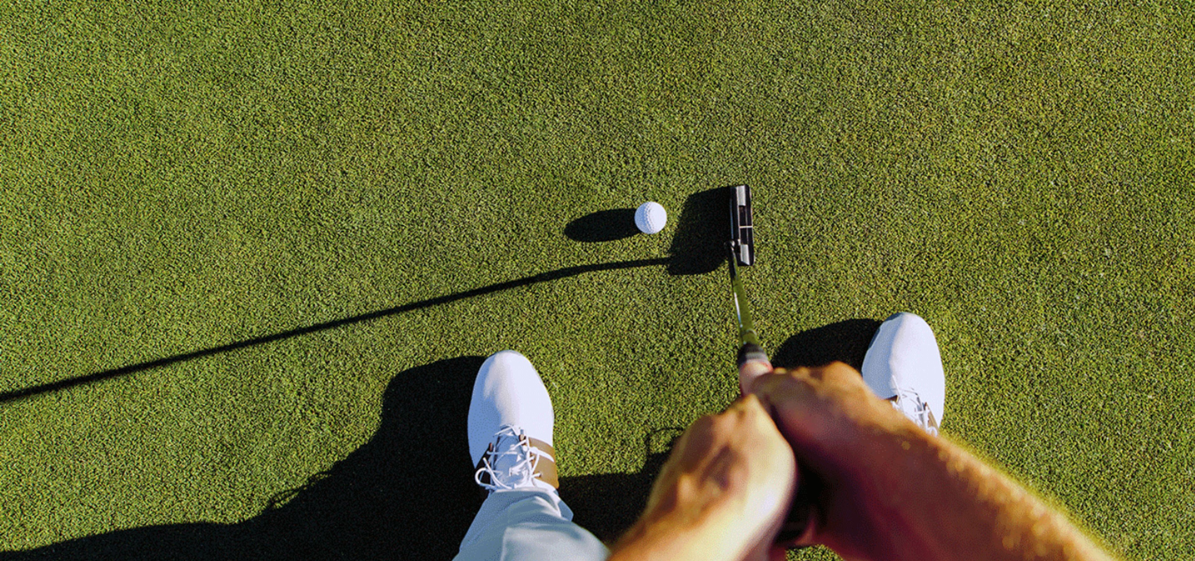 Cover photo of Orange Tree Golf Club & Resort