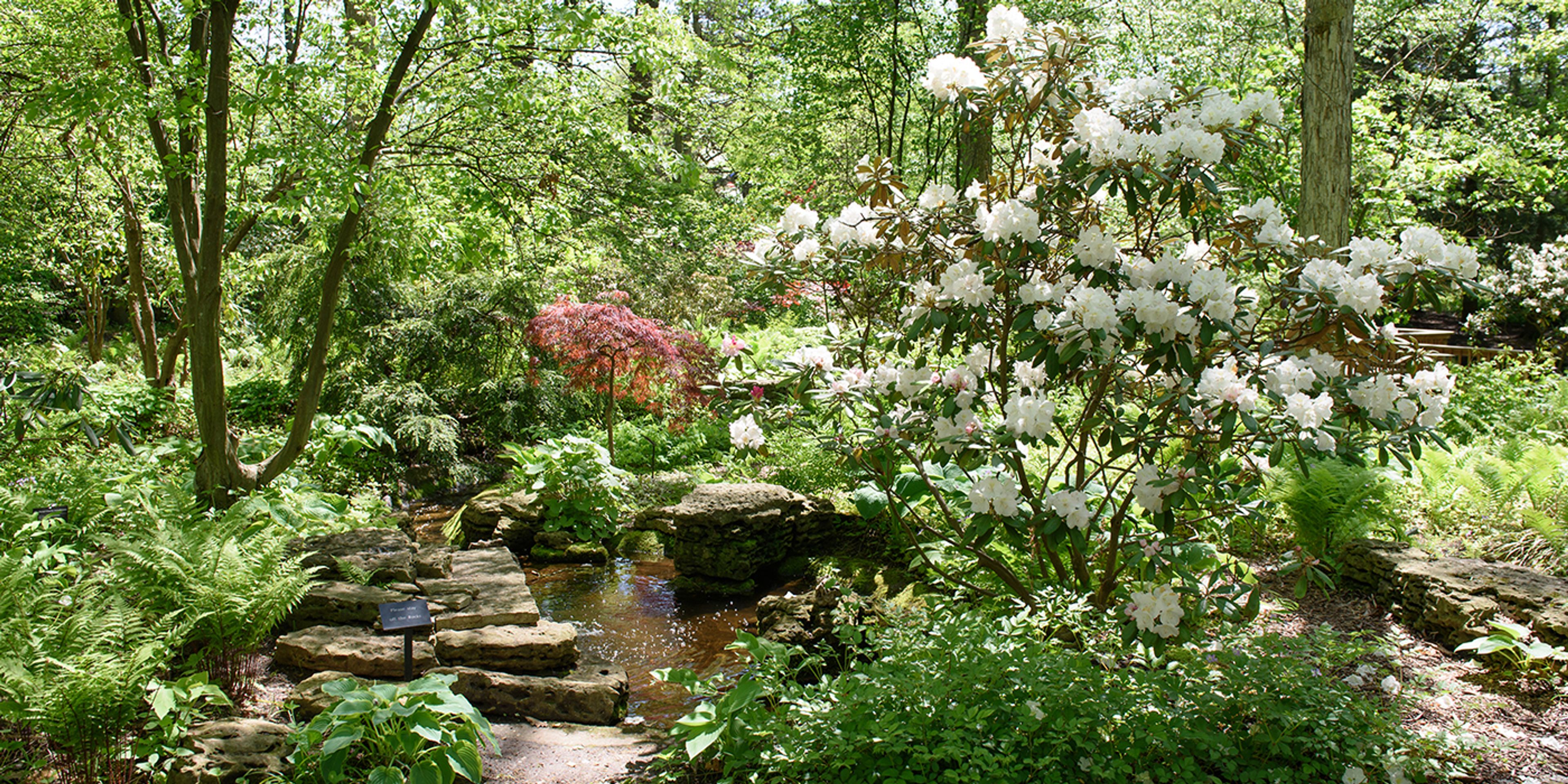 Featured photo from Toledo Botanical Gardens