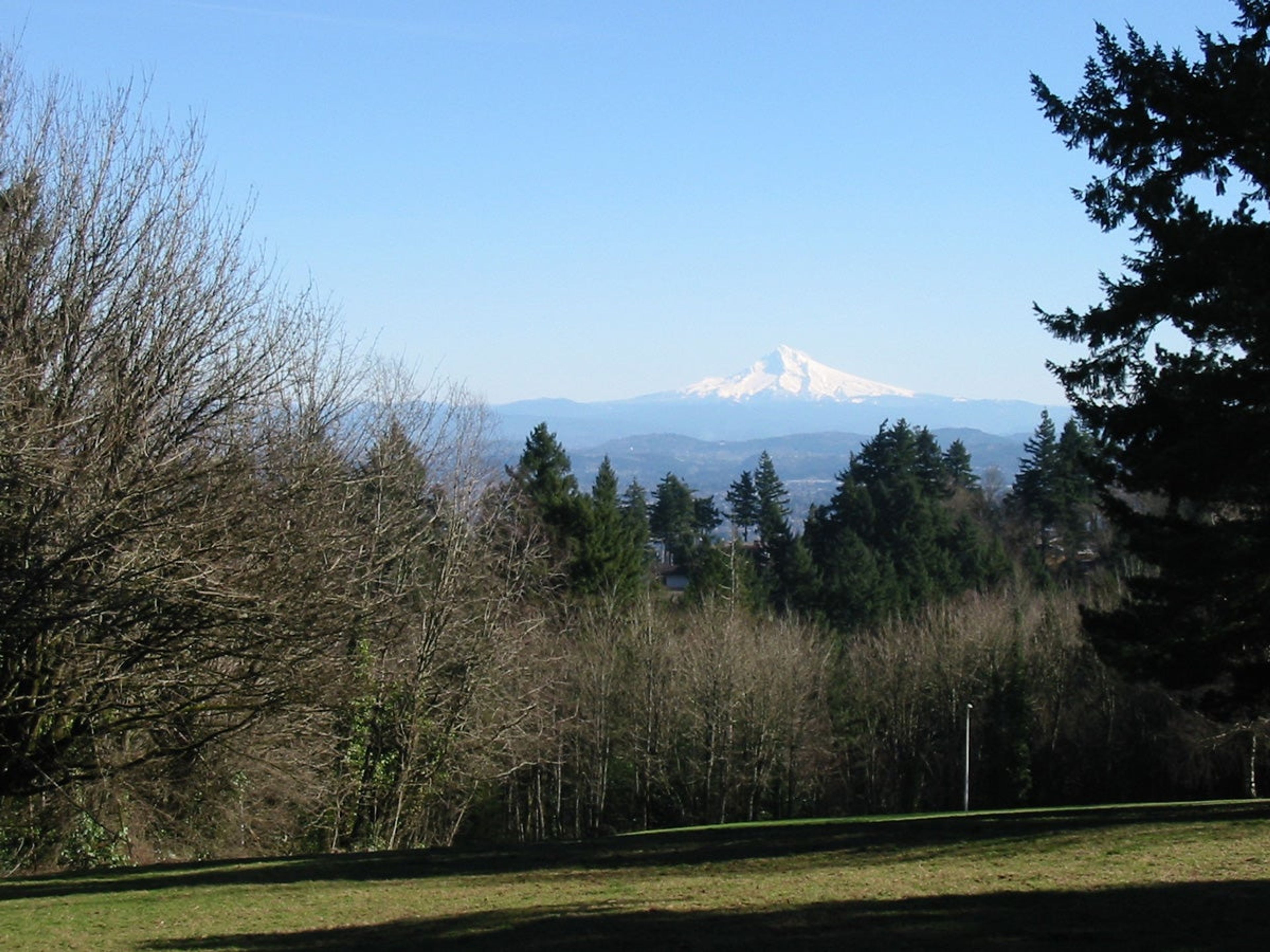 Featured photo from Council Crest Summit